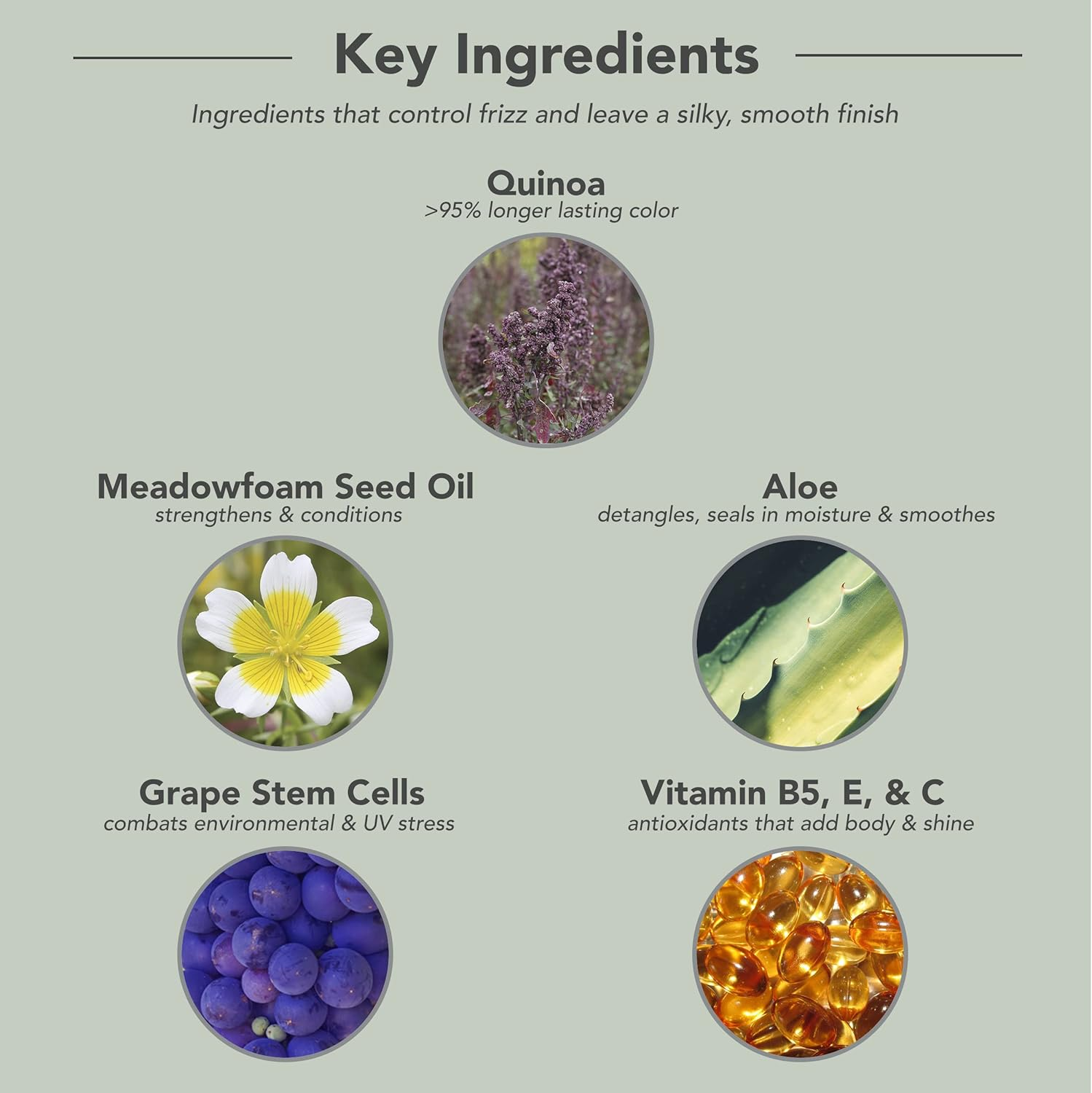 Framesi Color Lover Smooth Shine Shampoo, Sulfate Free Shampoo with Quinoa and Aloe Vera, Color Treated Hair image number 5