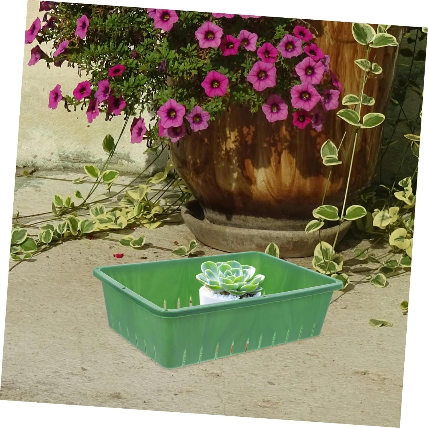 SUPVOX Seedling Starter Tray and Sprouting Growing Tray for Indoor Gardening Small 26X18X7Cm Green Plastic Germination Container 2Pcs Seedling Growing image number 6