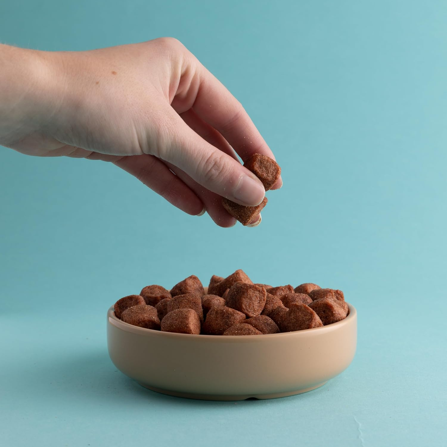 Mason Cash Cane Cat Saucer Bowl Dish, 5 Inch image number 6