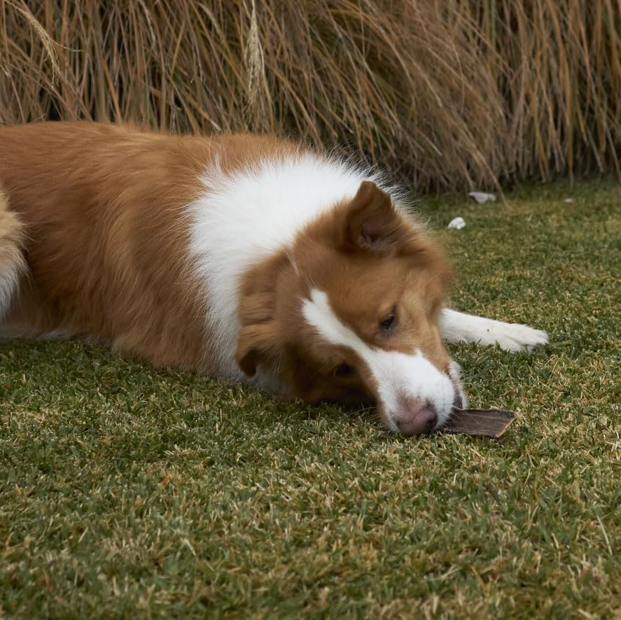 Kazoo Prime Cuts Kangaroo Steak Strips - 80G image number 2