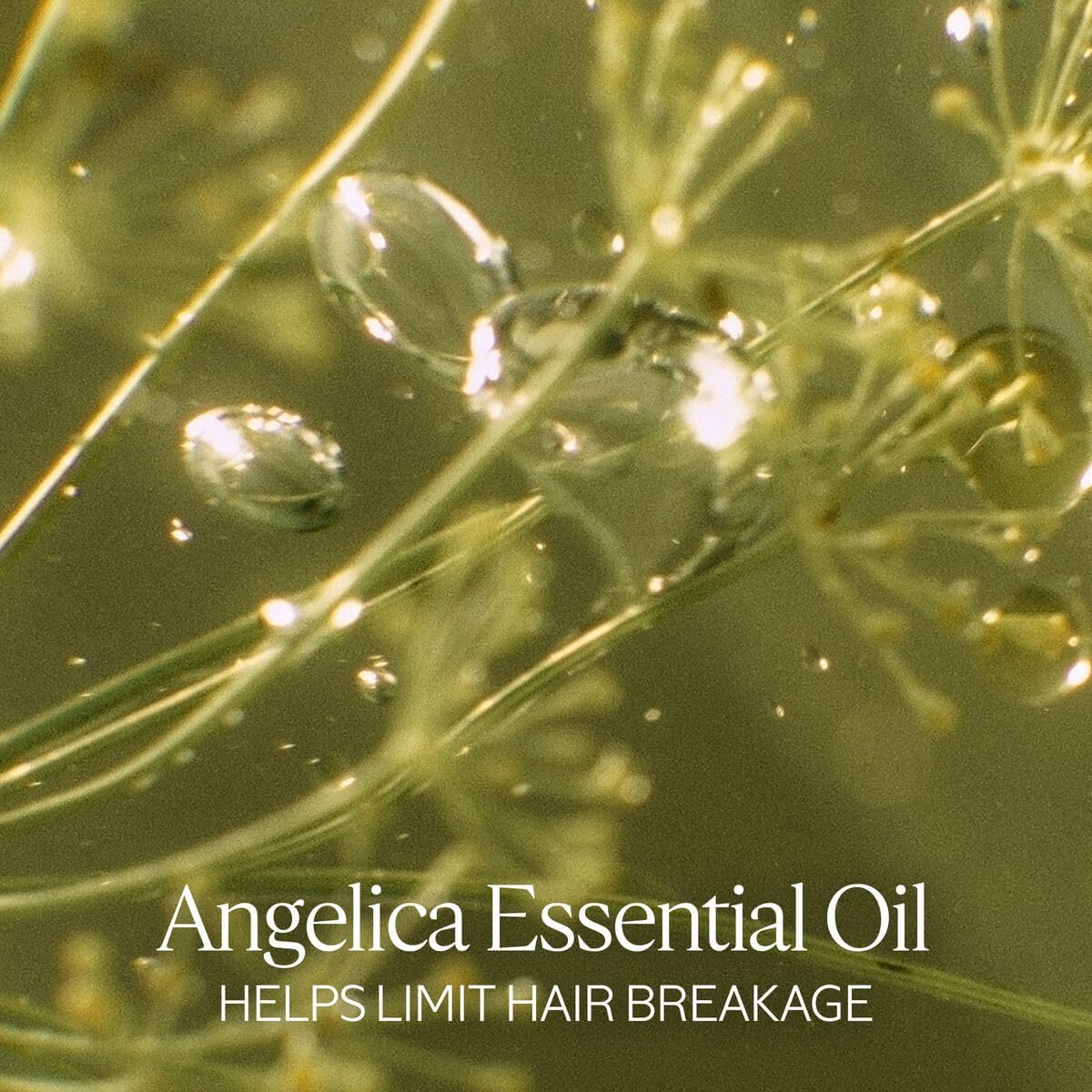 L'Occitane Intense Repair Hair Treatment Mask 200 Ml image number 3