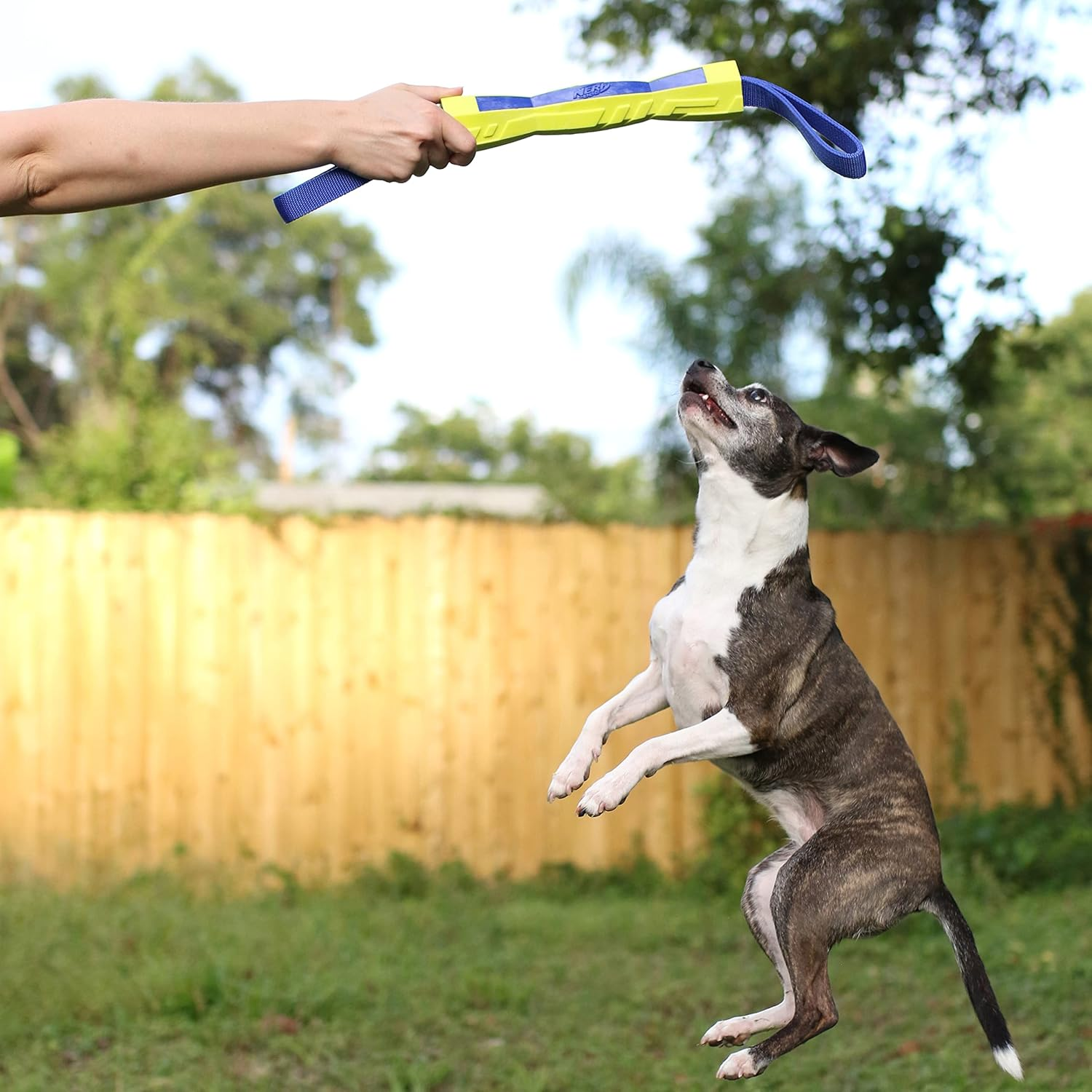 Nerf Dog 12In Tpr/Foam Megaton Competition Stick - Blue/Green image number 2