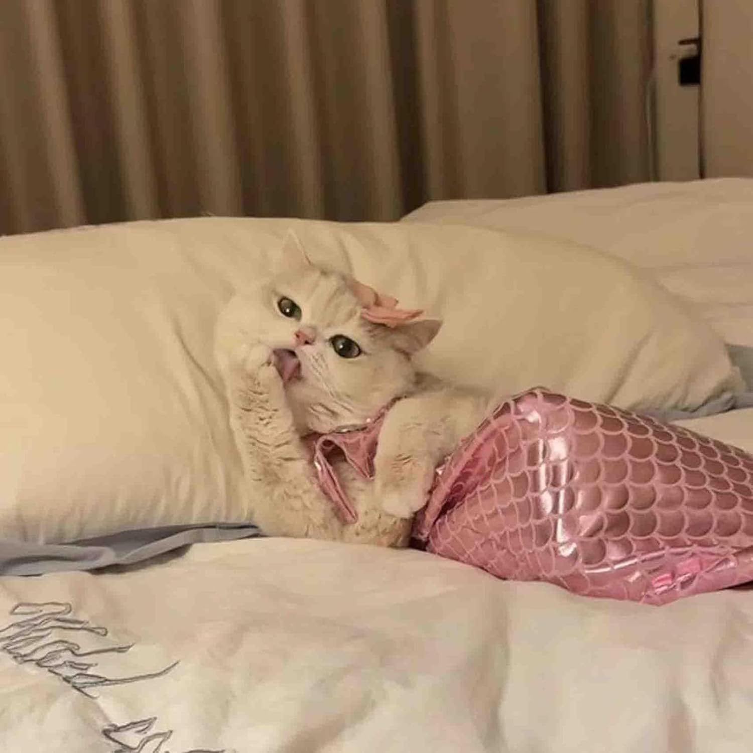 Cat Mermaid Costume - Mermaid Costume for a Small Dog or Cat, Mermaid Cat Costume, Cat Mermaid Outfit, Cat Mermaid Tail, Mermaid Costume for Cat, Funny Mermaid Cat Clothing (S,Green) image number 6