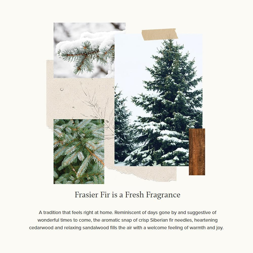 Thymes - Frasier Fir Hydrating Hand Lotion - 8.25 Ounce Bottle image number 3