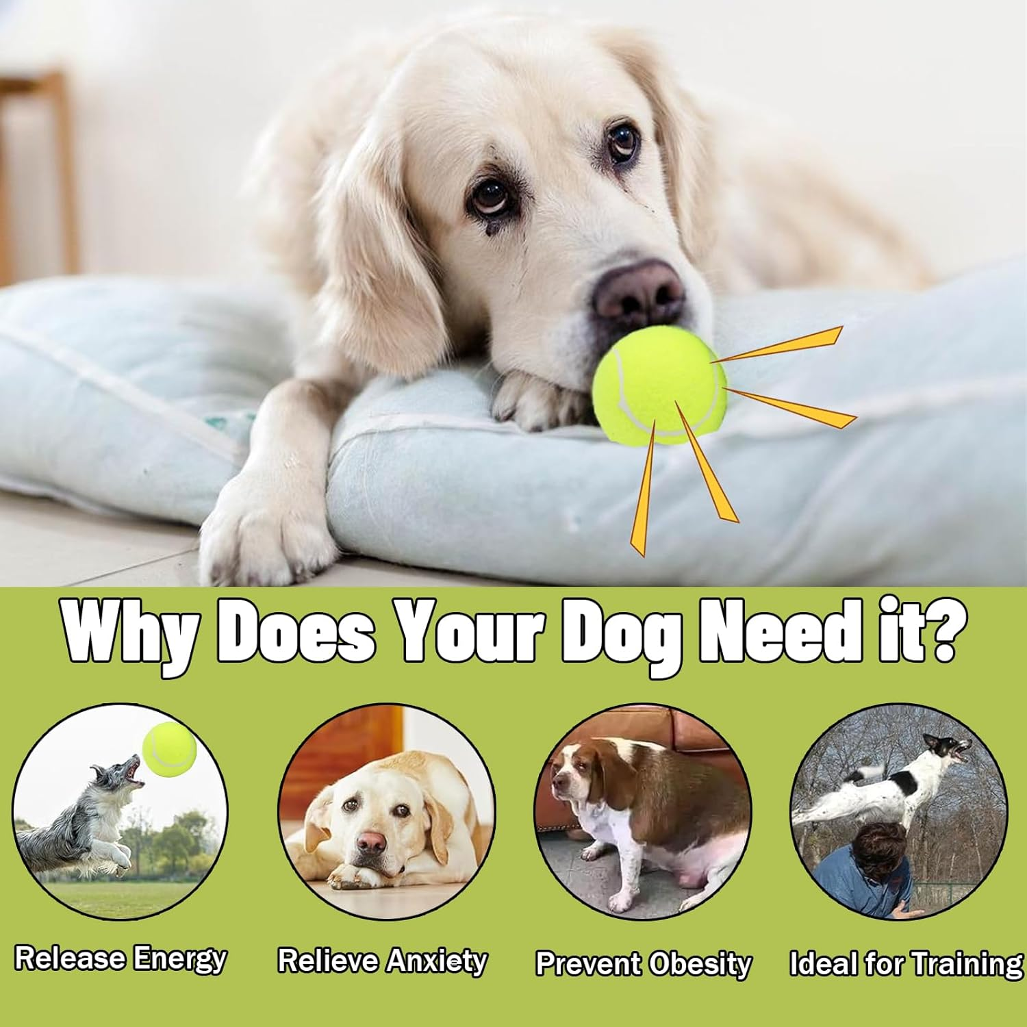 Magicorange Dog Tennis Balls, 20 Pack 2.5 Inch Floatable Squeaky Tennis Balls for Fetch Exercise, Natural Rubber Squeaky Dog Balls Training Safe (Multicolor, 2.5Inch) image number 6