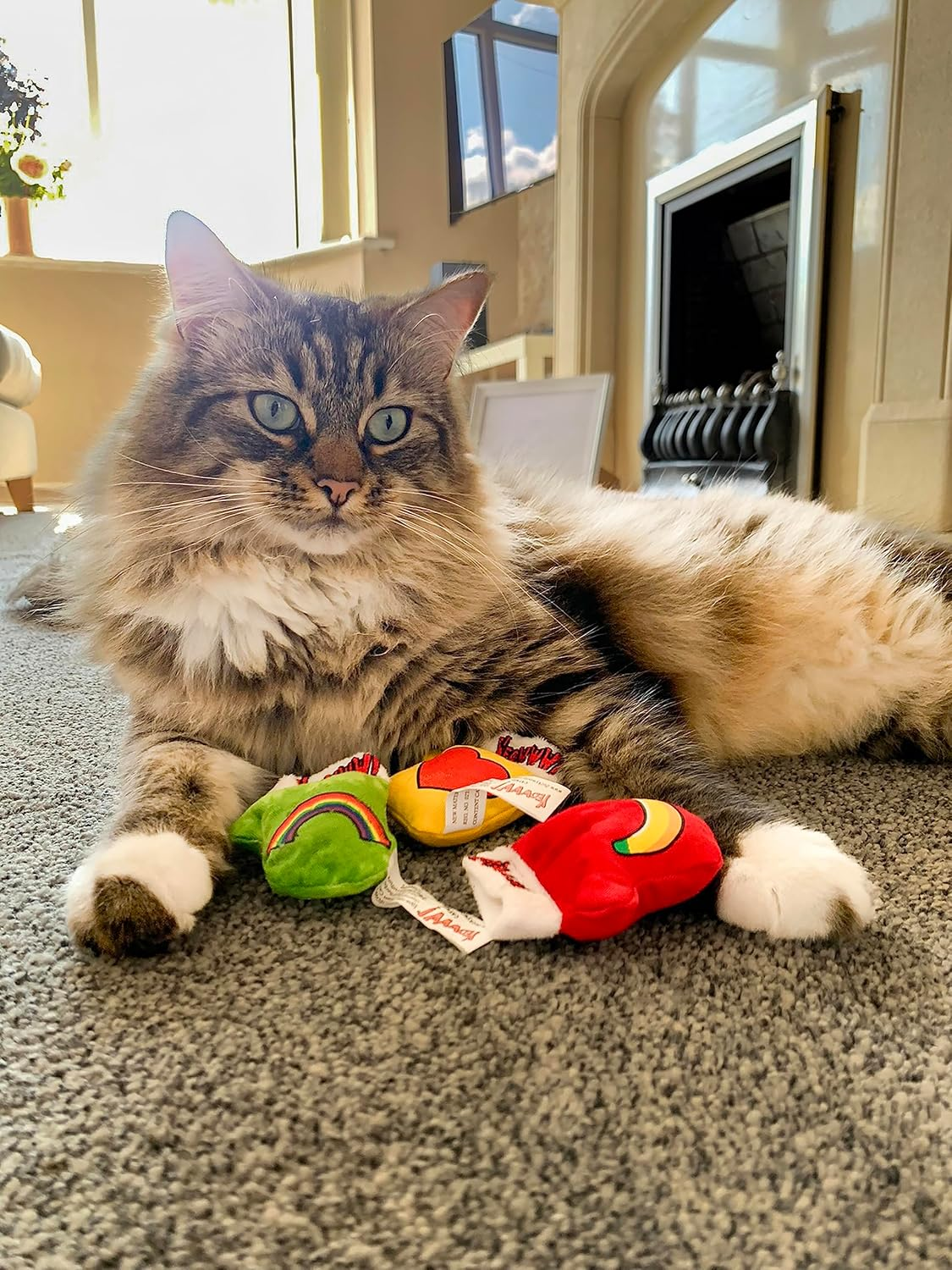 Yeowww! Jug of 30 Kitten Mittens, Catnip Toys for Cats 30PC, Organic Catnip, Multi Colour Cat Toys image number 1