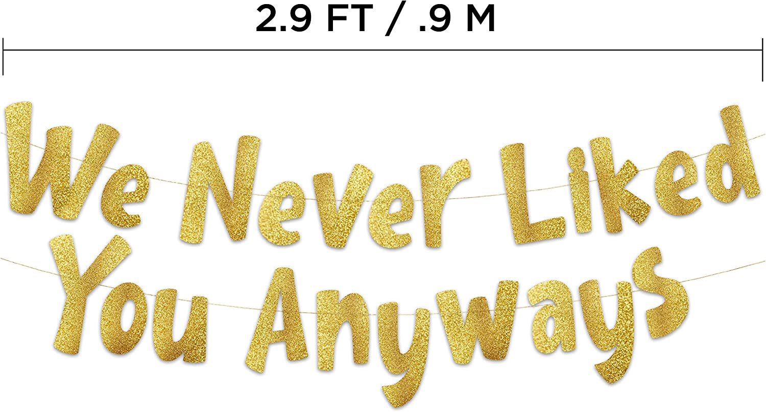 We Never Liked You Anyways &ndash; Going Away Party Gold Glitter Banner &ndash; Funny Farewell Party Decorations &ndash; We Will Miss You &ndash; Retirement Party &ndash; New Job Change &ndash; Moving Party Supplies, Ideas, and Gifts image number 2