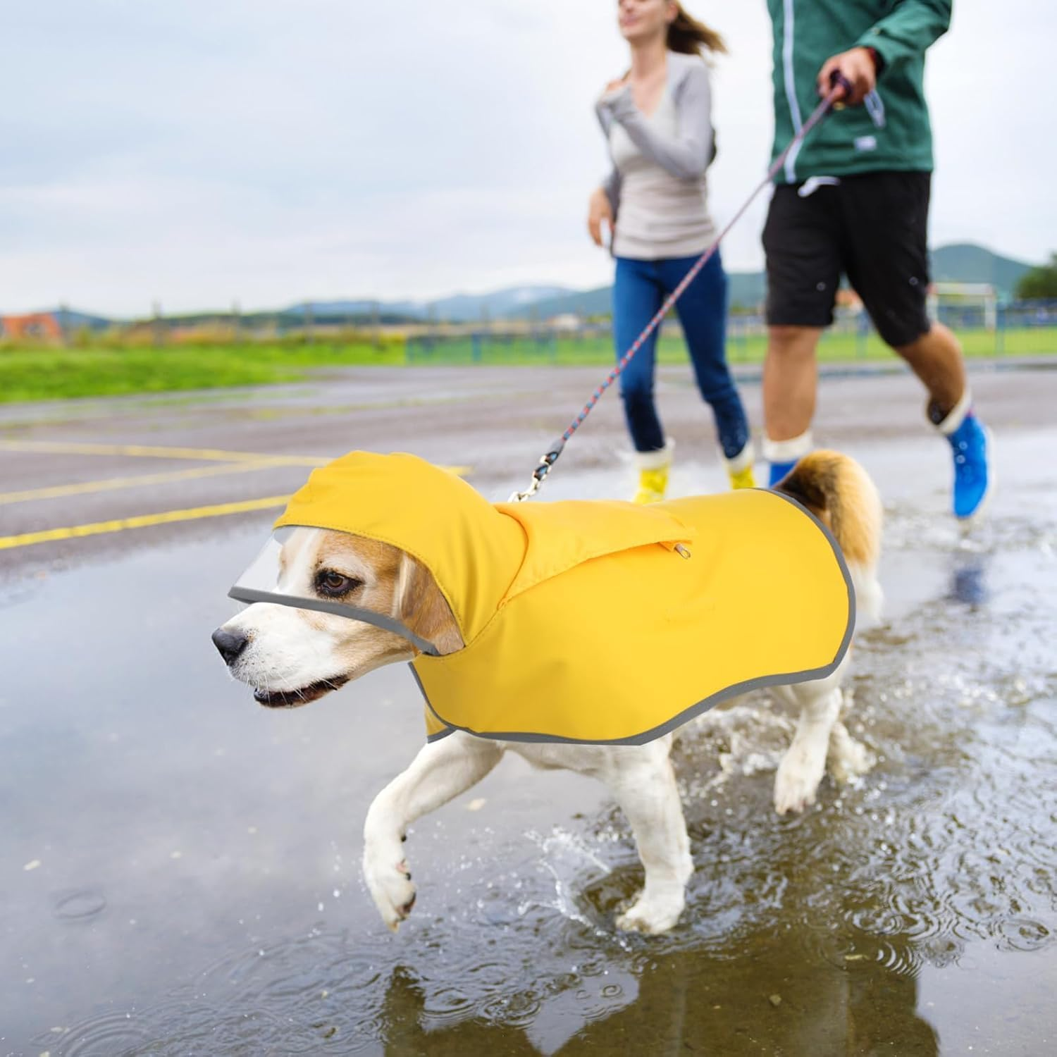 Adjustable Waterproof Dog Raincoat Slicker Poncho for Small and Medium Dogs Puppies, with Transparent Hooded Double Layer, with Reflective Edges and Foldable Storage Bag (Yellow, M) image number 1