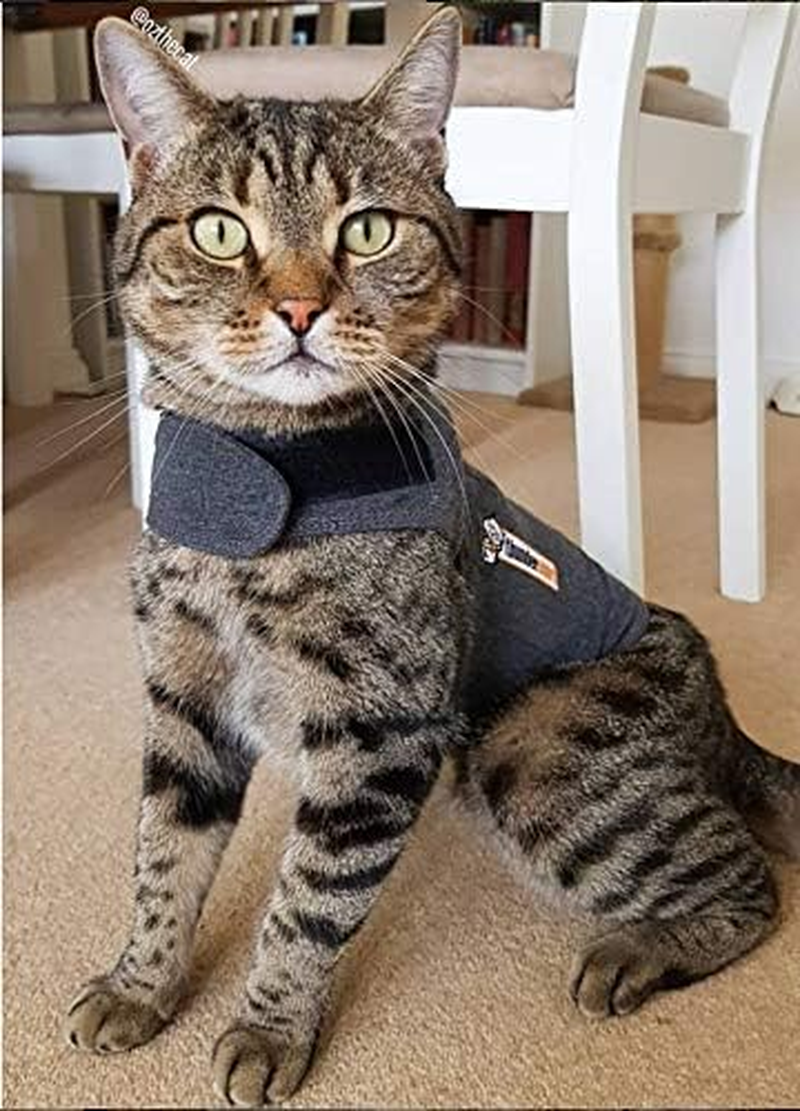 Thundershirts Cat Calming and Anxiety Jacket, Medium 13"-17", Heather Grey image number 2