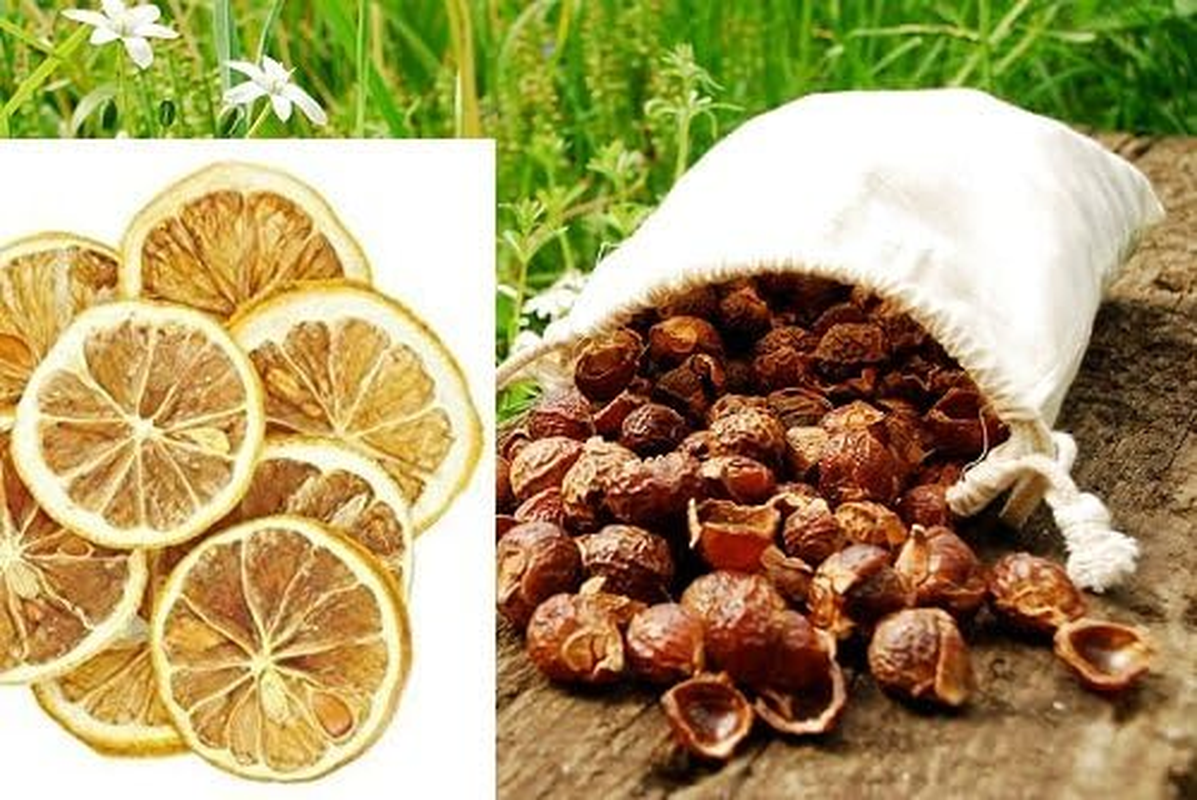 BSD Organics Soap Nuts Shells (Reetha, Areetha, Kunkudukaialu) & Lemon Dried - 25 Gms (Free Pouch)