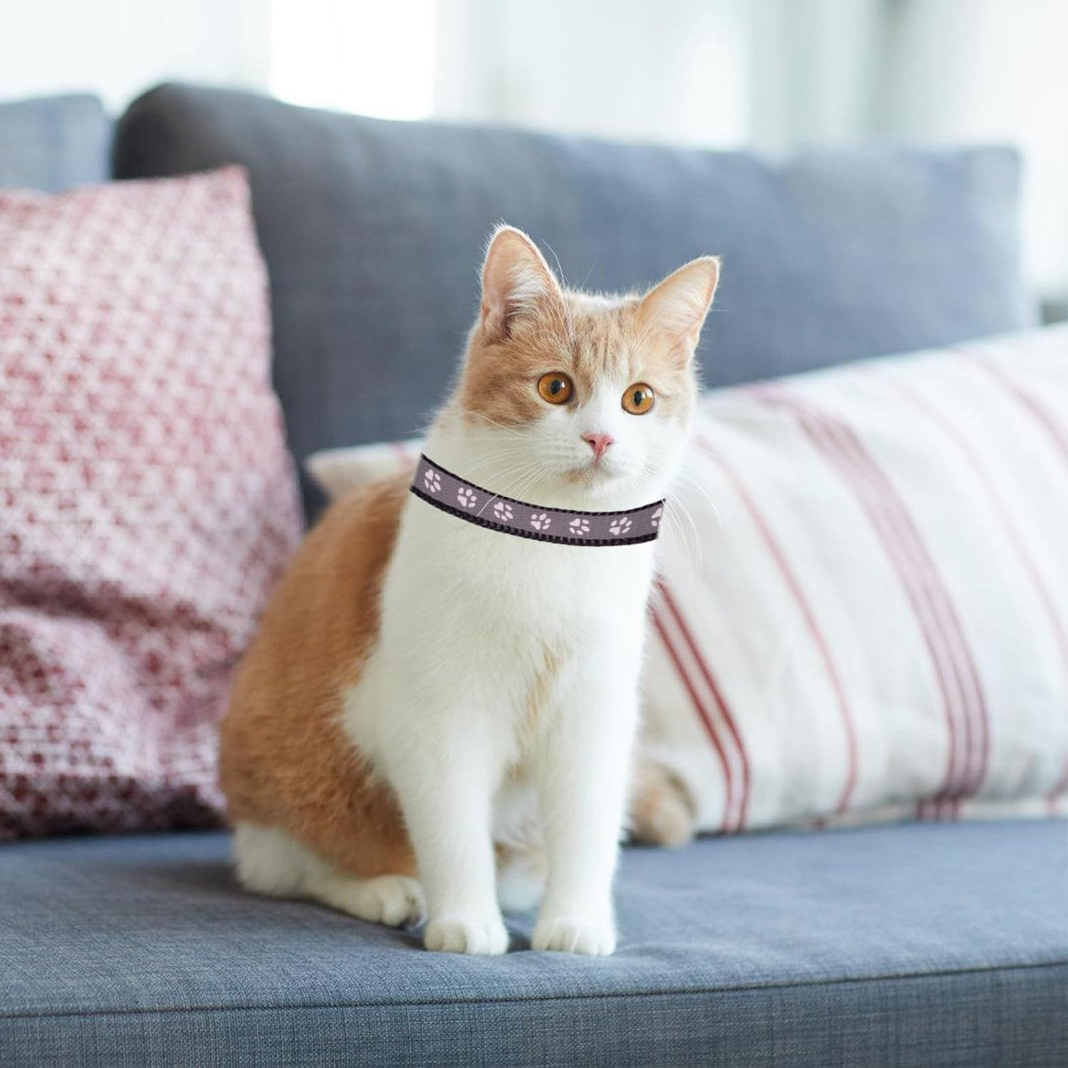 6 Pieces Pet Kitten Collars, Adjustable Kitten Collar, Reflective Cat Collar Pack with Bell, Kitten Collar Safety Quick Release Buckle, for Girl Male Cats Pet Supplies Stuff Accessories (Multicolorc) image number 2