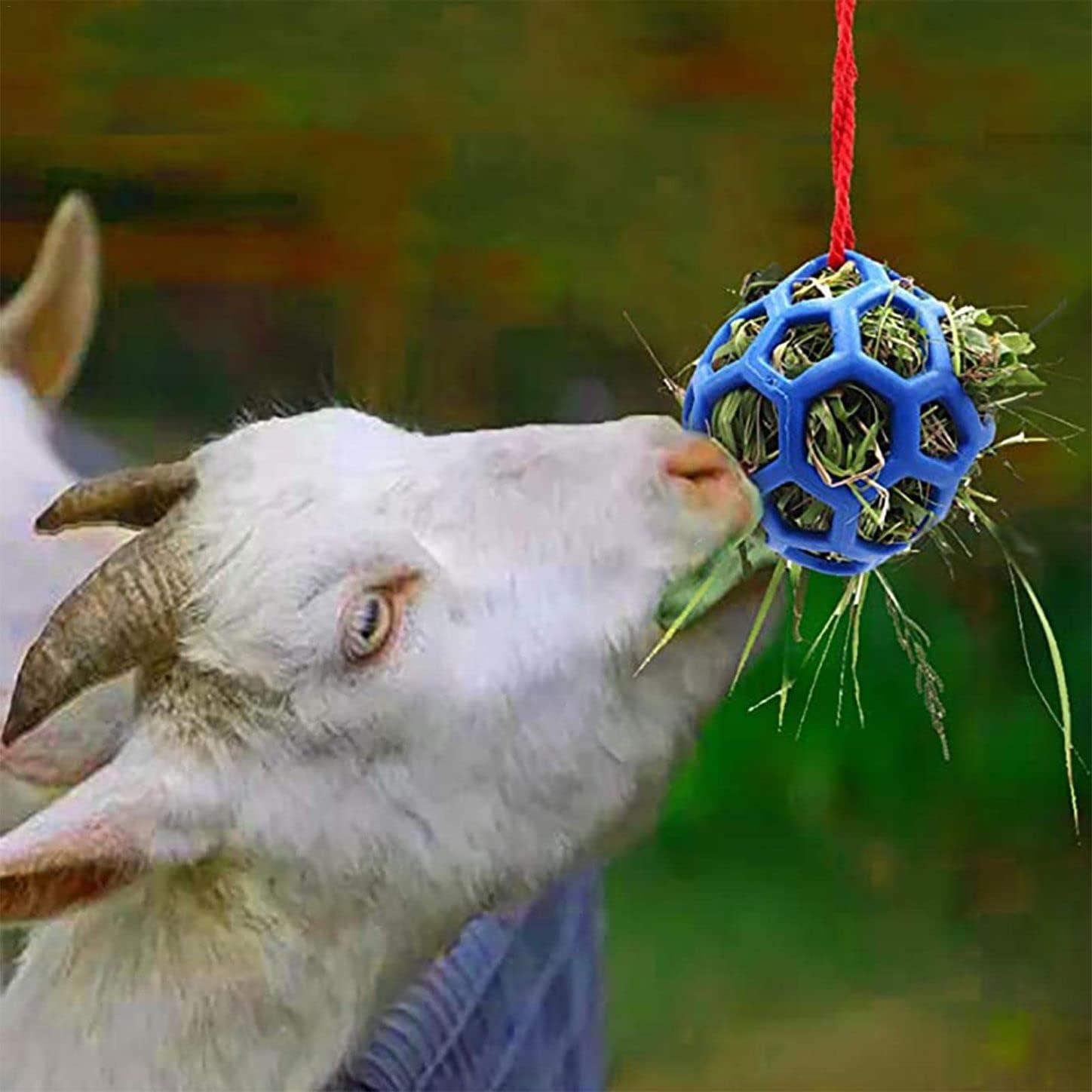 Hanging Feeding Treat Ball for Horse ,Hay Feeder Toy Ball for Horse?Goat Sheep Relieve Stress,Horse Stable Stall Paddock Rest (Blue) image number 1