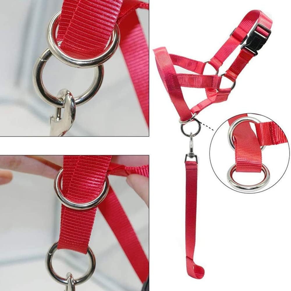 Dog Training Head Collar Halter Stop Pulling Training Tool Harness Strap Leader Purple S - Black L image number 3