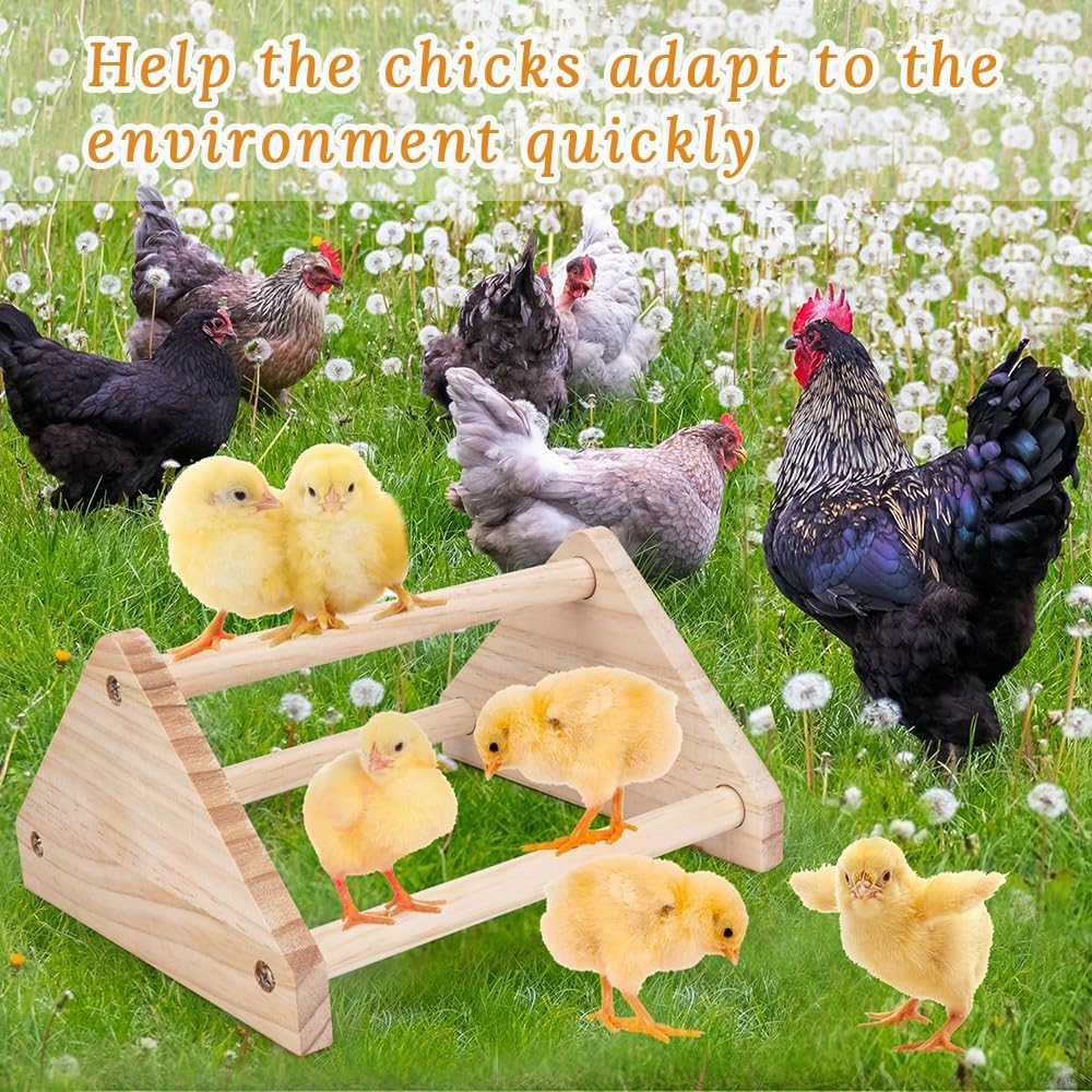 Grouse Perch with Mirror, Wooden Stand for Small Birds, Chicken Training Toys, Jungle Gym Perch for Small Birds, Parrots, Macaws, Chicks, Chicken Coop, Brooders image number 3