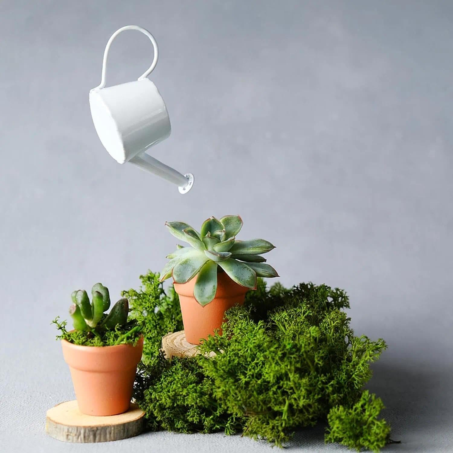 30 Pcs Mini Terracotta Pot for Plants, Succulent Planter with Drainage Holes, Clay Flower Pots for Indoor/Outdoor Garden, Small Planters for DIY Craft Projects, 3Cm &ndash; Unron image number 5