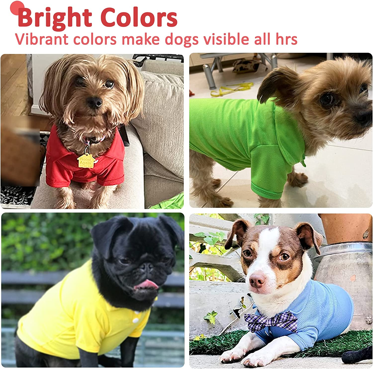 DOGGYZSTYLE 4 Pack Solid Dog Polo Tshirts Shirts Pet Puppy T-Shirt Clothes Outfit Apparel Coats Tops(M Chest 15.75"-Length 11.81") image number 4