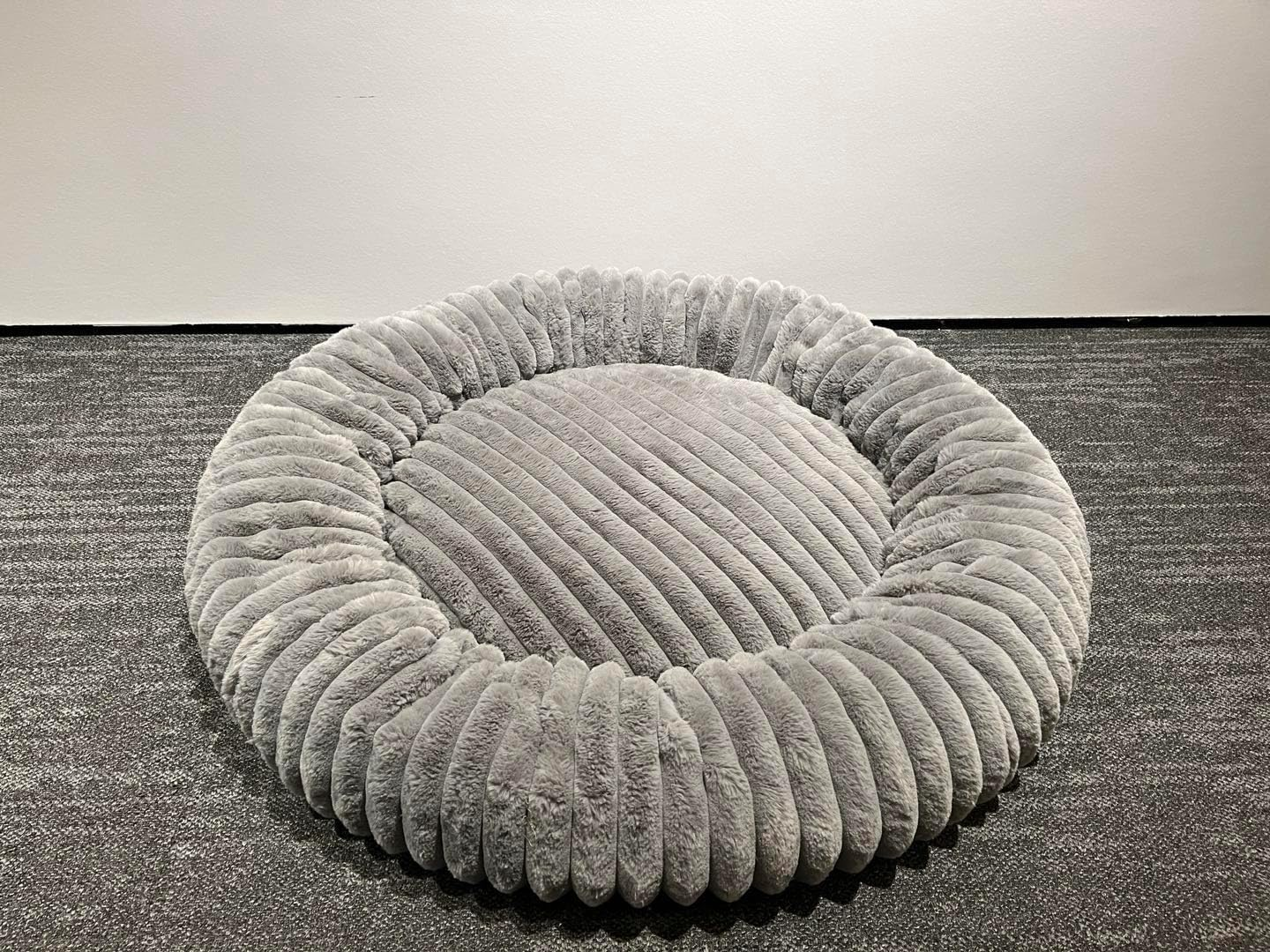 Feandrea Dog Bed, Medium Cat Bed with Soft Padding, 60 Cm, Washable, Non-Slip, Dove Grey PGW302GD01