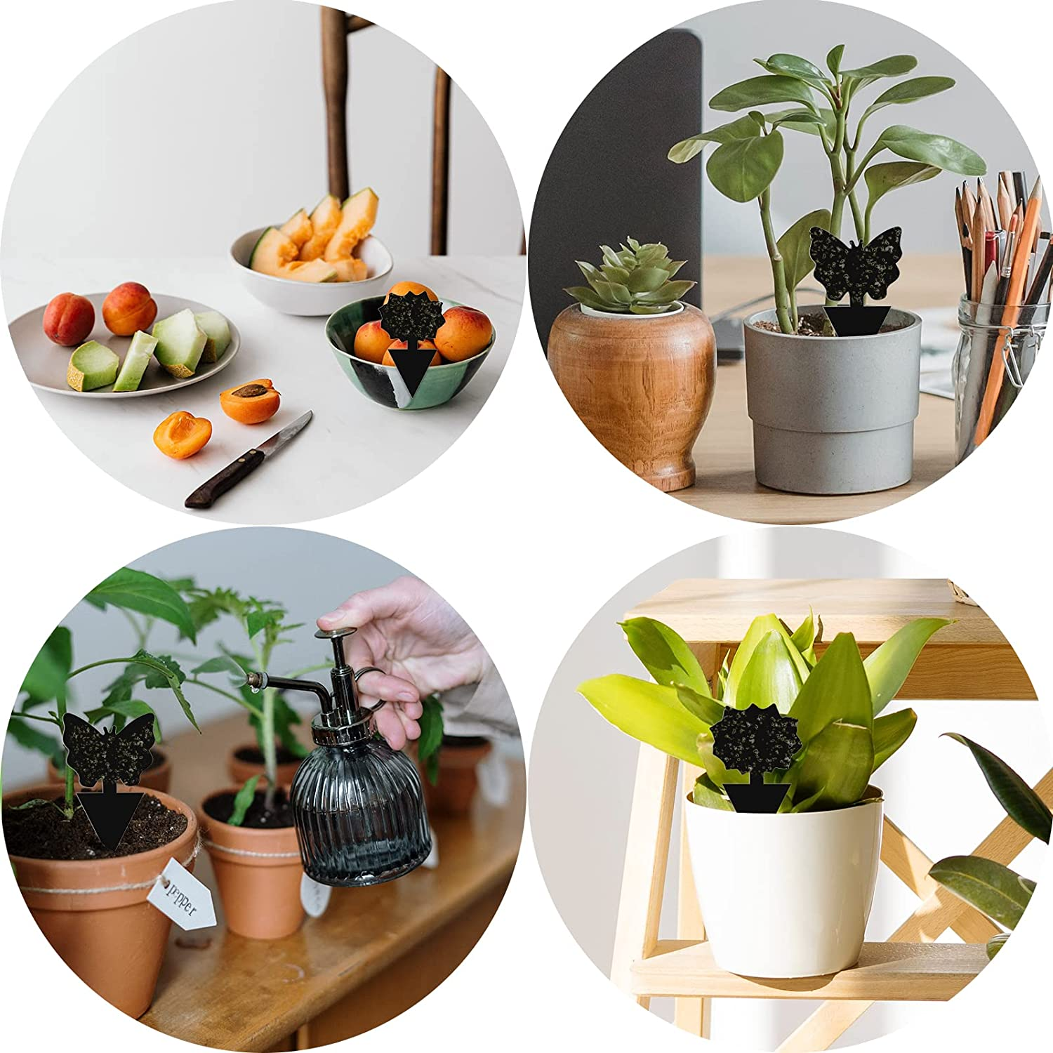 50 Pack Sticky Traps Fruit Fly Fungus Gnat Trap Killer, Joogee Yellow Dual Sided Gnat Trap, Disposable Insect Catcher Sticky Board,Non-Toxic and Odorless,For Mosquitoes, Houseplant, Garden image number 6