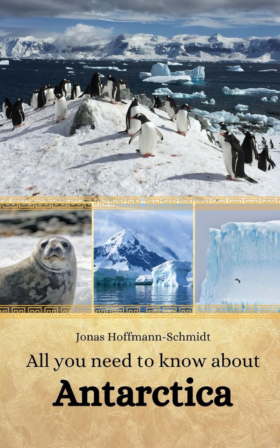 All You Need to Know about Antarctica image number 1