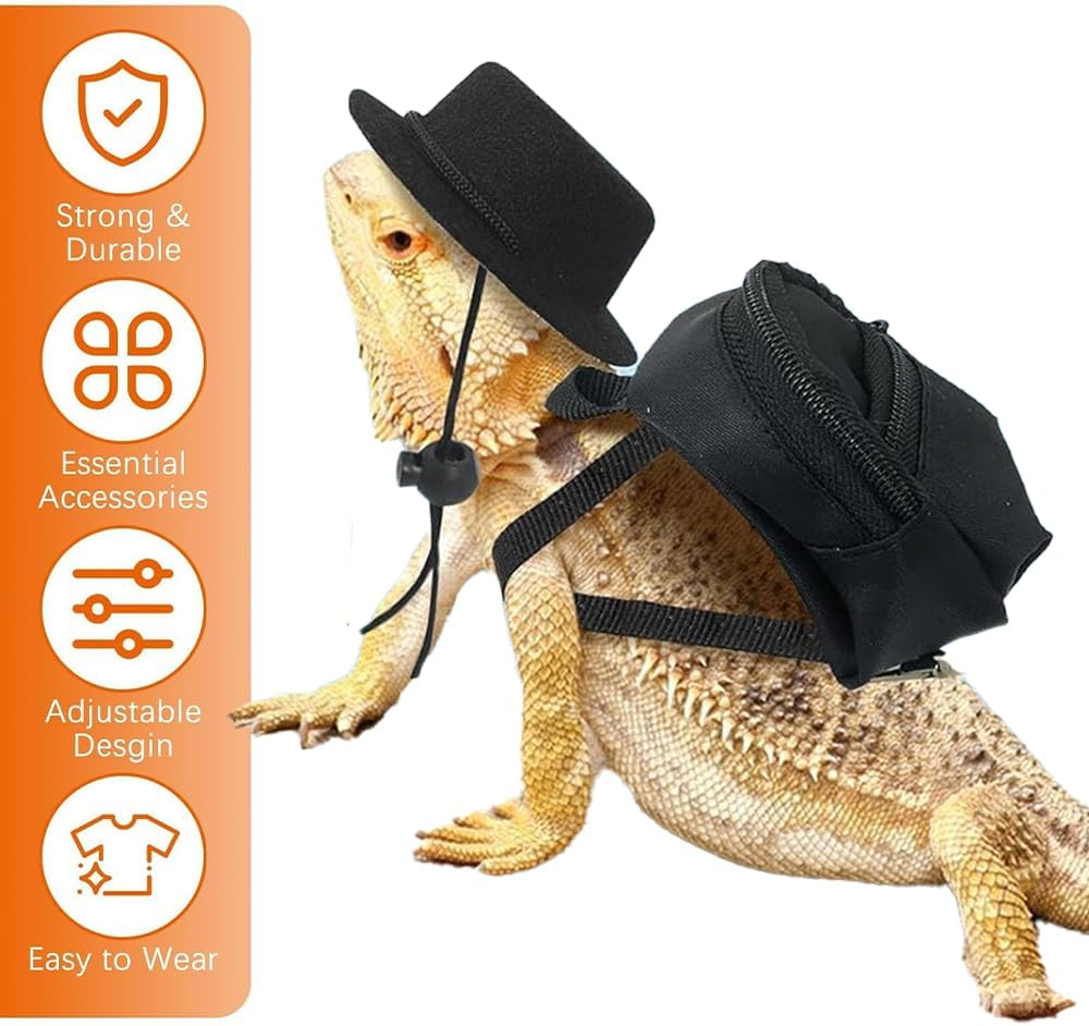 5 Pack Bearded Dragon Harness Set,With Adjustable Backpack Hat Bow Tie & Mini Skateboard Toy,Reptile Adventure Kit for Outdoor Adventures Lizard Reptile Care
