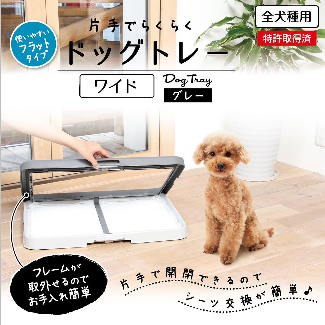 Petio Dog Tray, Easy with One Hand, Gray, Wide image number 1