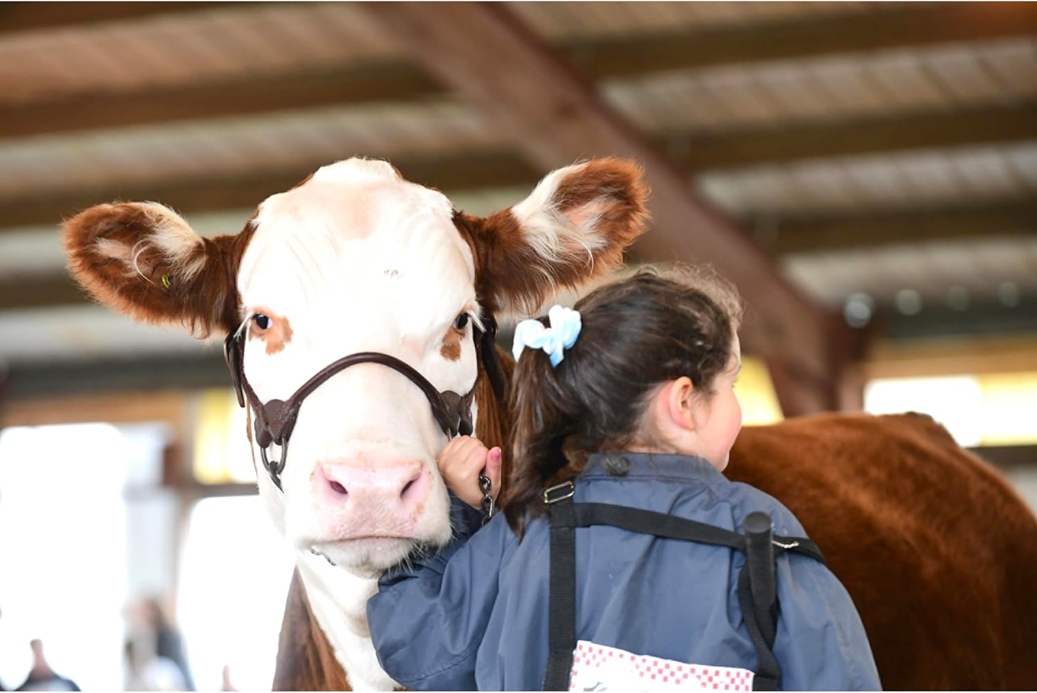 Weaver Leather Bombshell Show Halter image number 3