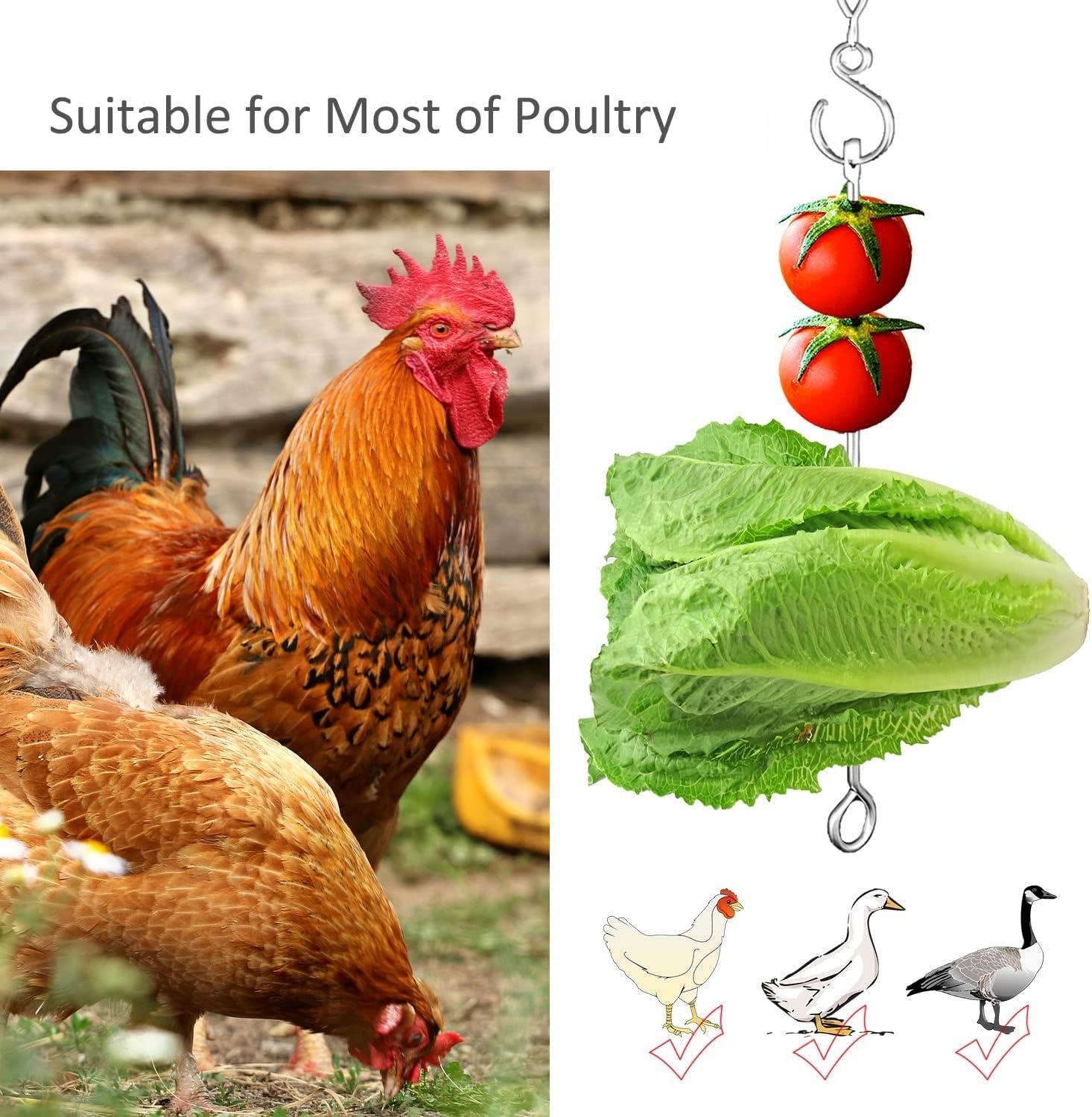 Chicken Vegetable Hanging Feeder Toy for Hens Pet Chicken Veggies Skewer Fruit Holder for Hens Large Bird image number 5