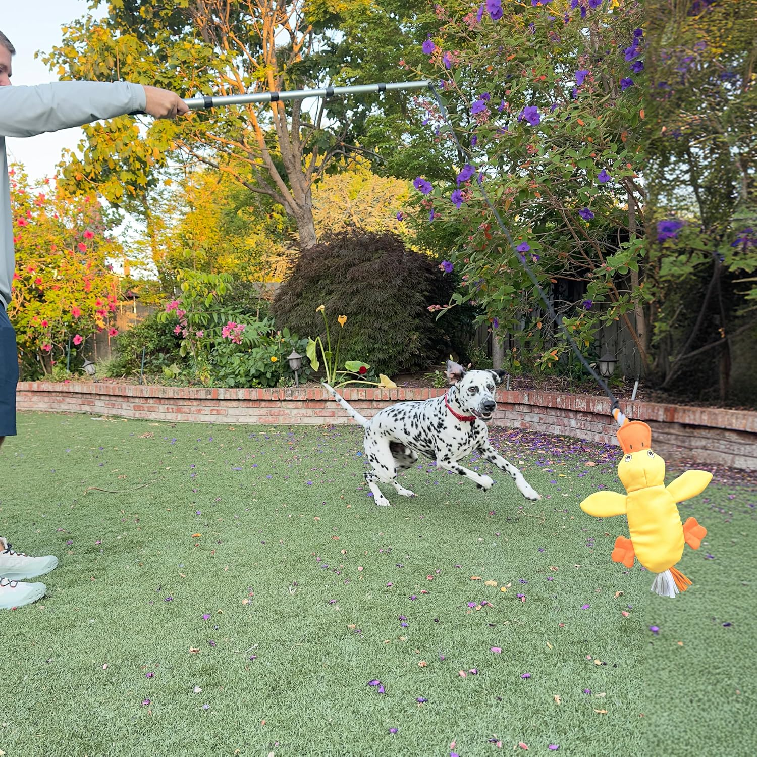 Flirt Pole Replacement Toy - Multi-Sensory Tough Tug Toy for Mighty Strongbite Flirt Pole for Dogs, Flirt Pole Attachment Lure Toy (Duck)