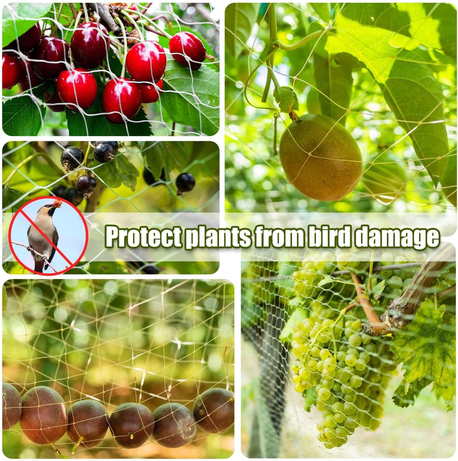 Lovesmile Cat Protection Net, Balcony Net, 5 X 5 M Balcony Net for Cats, Cat Net Balcony No Drilling, Bird Protection Net Tight Mesh, Bird Nets Bird Protection Net for Garden Fences, Fences, Orchards image number 2