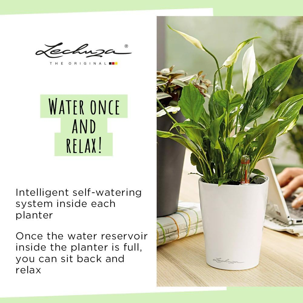 Lechuza Deltini Self-Watering Planter with Removable Planter Liner, High Gloss Scarlet Red image number 1