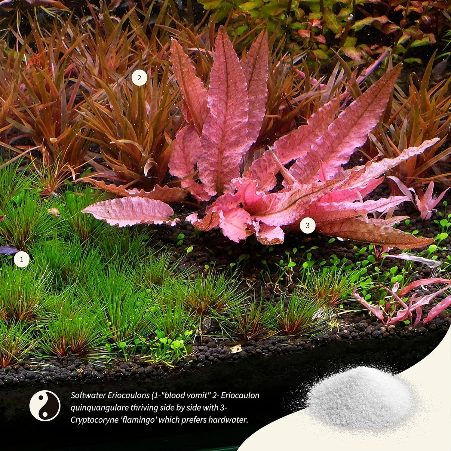 THE 2HR AQUARIST APT Sky GH Booster Aquarium + Shrimp Mineral (800G) image number 6