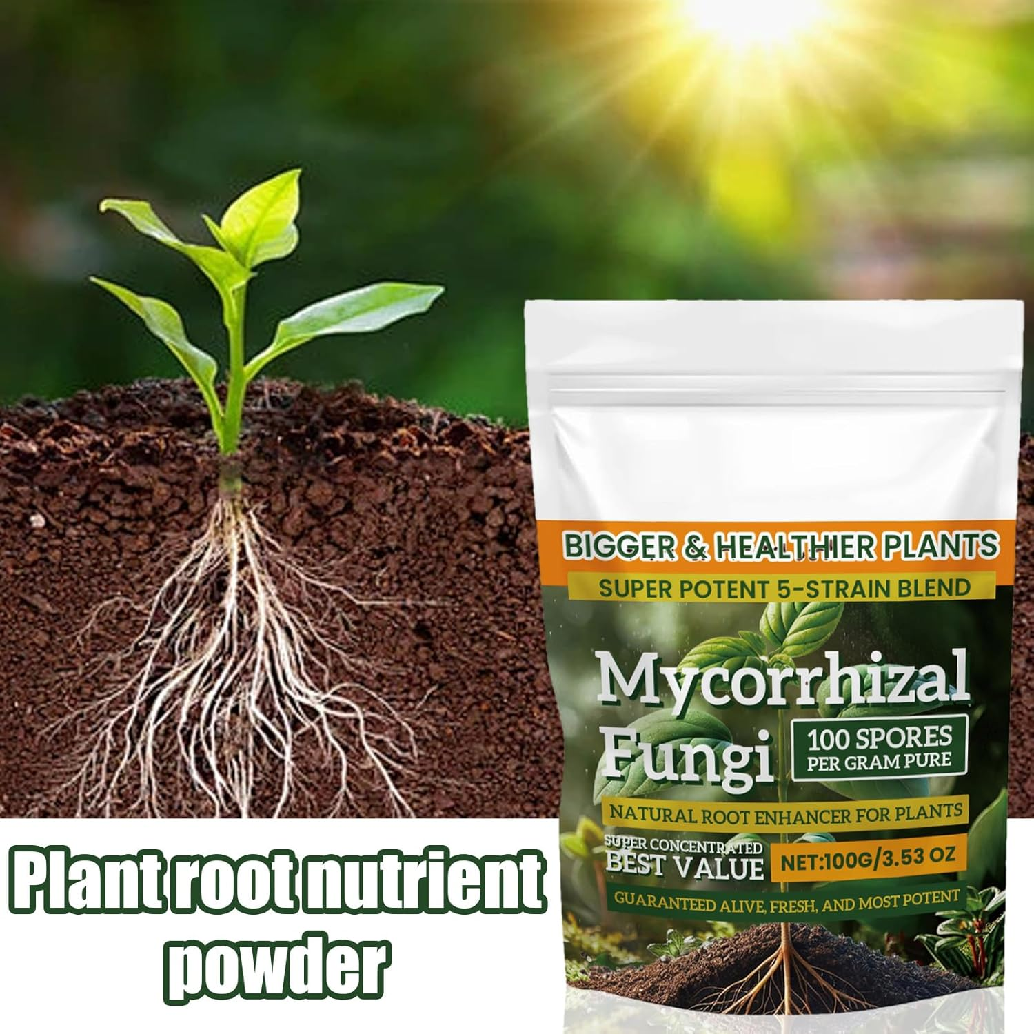 Plant Growth Enhancer - Fertilizer Nutrient Powder, 100G Balanced Formula, Planting Tool Accessory, Soil Culture, Mixed Culture Garden, Agriculture Gardening Supplies for Growth Indoor Outdoor Plant