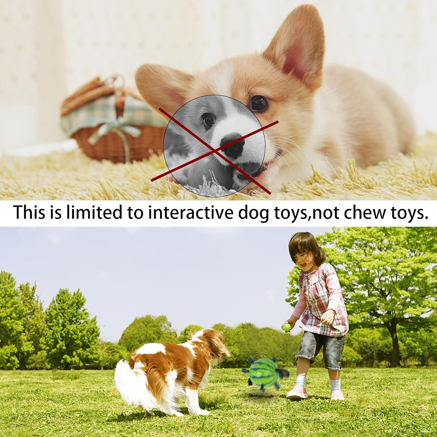 Dog Balls Toys Interactive Soccer Toy: Dog Toys with Grab Straps Tabs for Jolly, Fun Dog Water Toy for Tug for Small & Medium Dogs Ball 6.8 Inch
