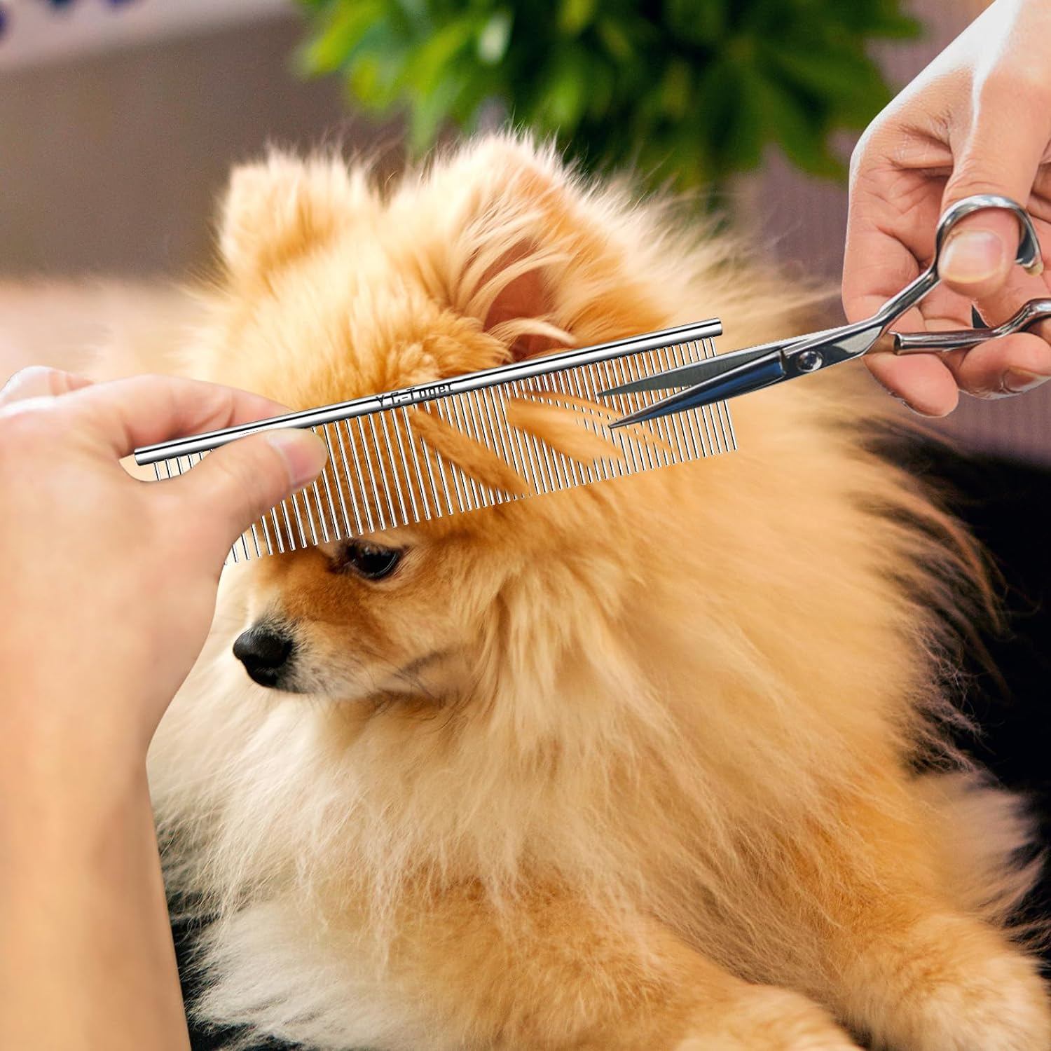 Y.C-Toget Combs for Dog Cat Grooming, Large Steel Dog Cat Comb for Removing Tangles and Knots & Trimming, Professional Grooming Comb for Long-Haired Dog Cat image number 5