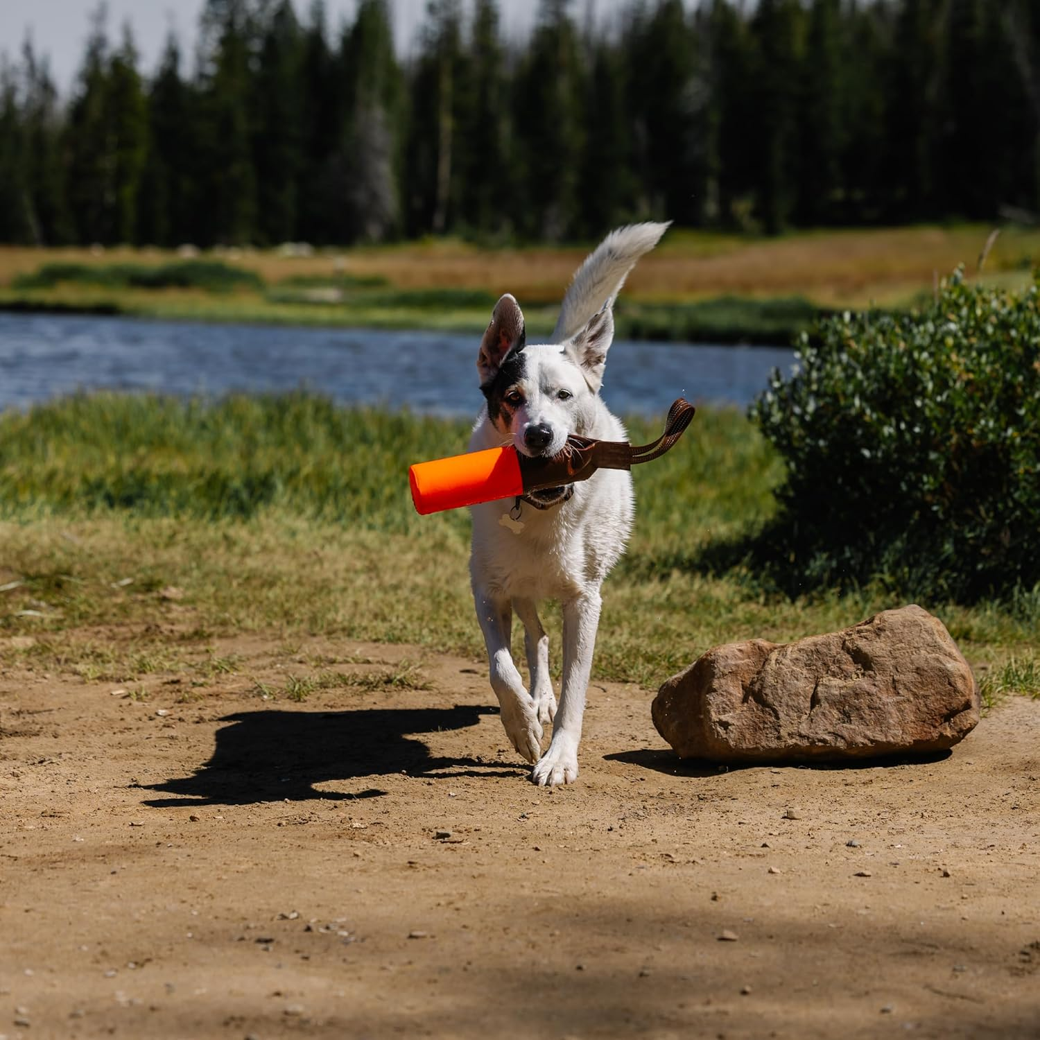 Carhartt Pet Pet Toys image number 5