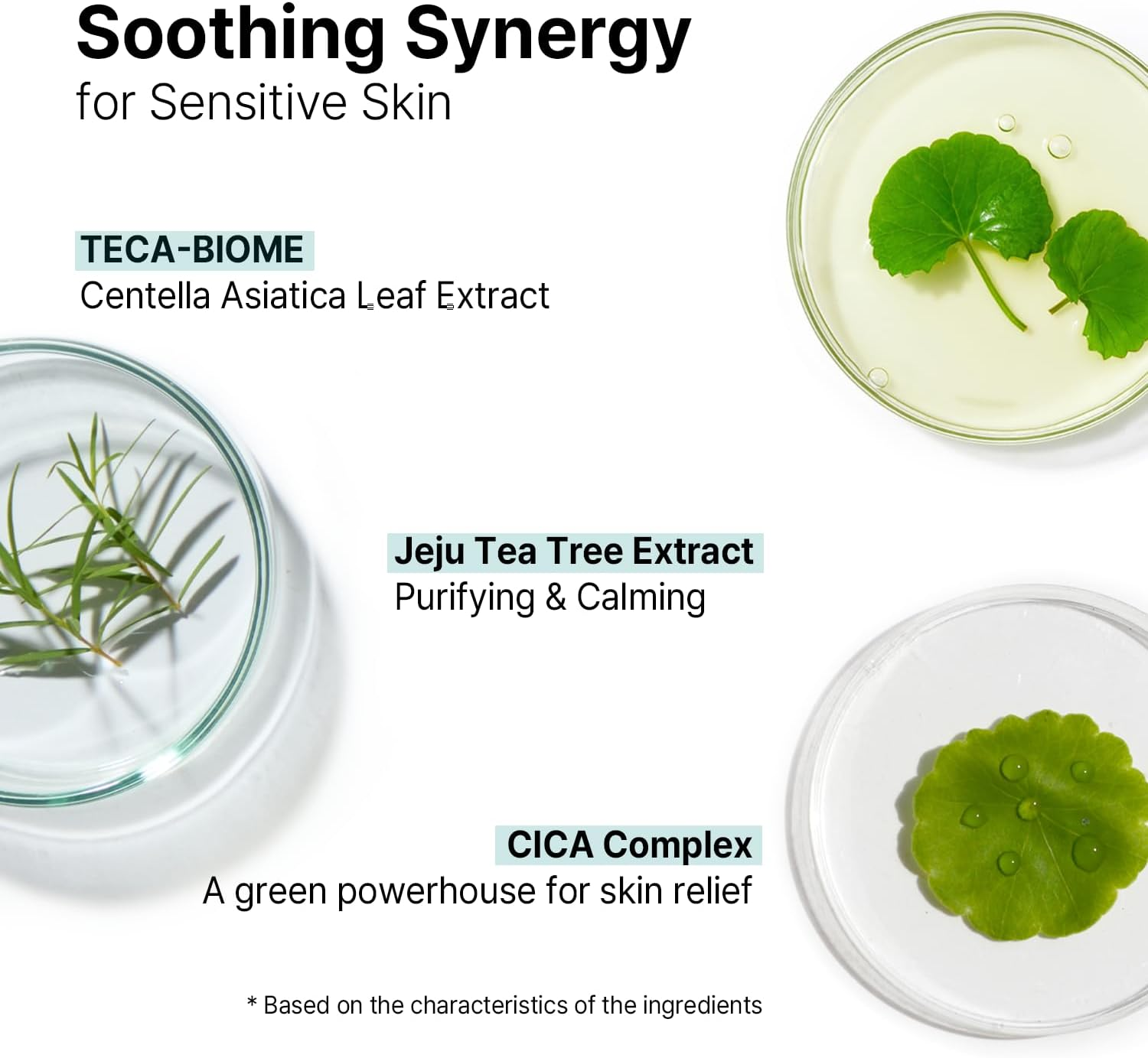 AVCA Quick Calming Cica Tea Tree Serum 100Ml &ndash; Niacinamide & Panthenol, Soothing for Redness and Blemish-Prone Sensitive Skin, Oil-Balancing K-Beauty image number 3