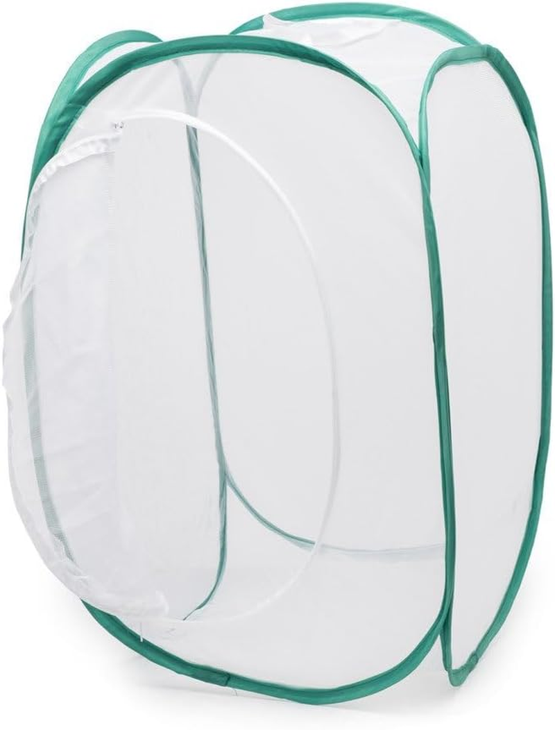 Insect and Butterfly Habitat Cage Terrarium - Pop-Up 60Cm Tall (White) image number 5