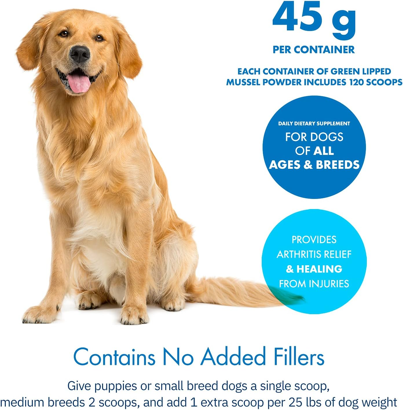 Green Lipped Mussel Powder for Dogs, All-Natural Hip & Joint Support Dietary Supplement Formula for Dogs (120 Servings)