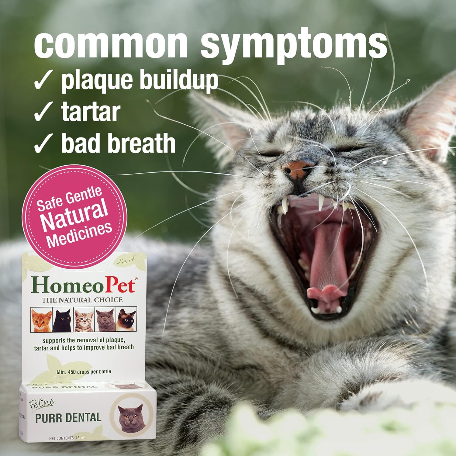 Homeopet Australia Purr Dental Drops 15 Ml image number 6
