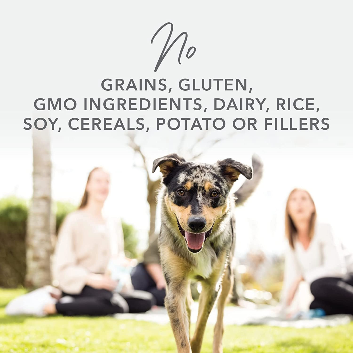 K9 Natural Grain-Free Freeze Dried Dog Food, Lamb & Salmon 1.8Kg image number 1