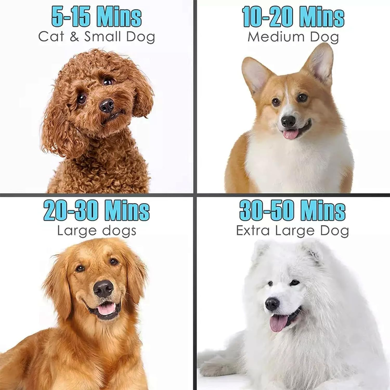 Memows Dog Hair Dryer, 2800 W Professional Blower Dog Dryer, Adjustable Speed and Heat, Pet Dryer, Dog Grooming Dryer with 4 Different Nozzles (Black) - Black image number 6