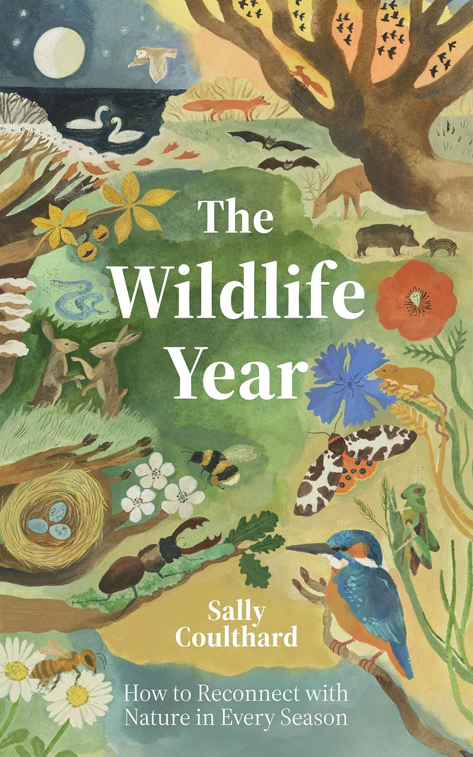The Wildlife Year: How to Reconnect with Nature through the Seasons