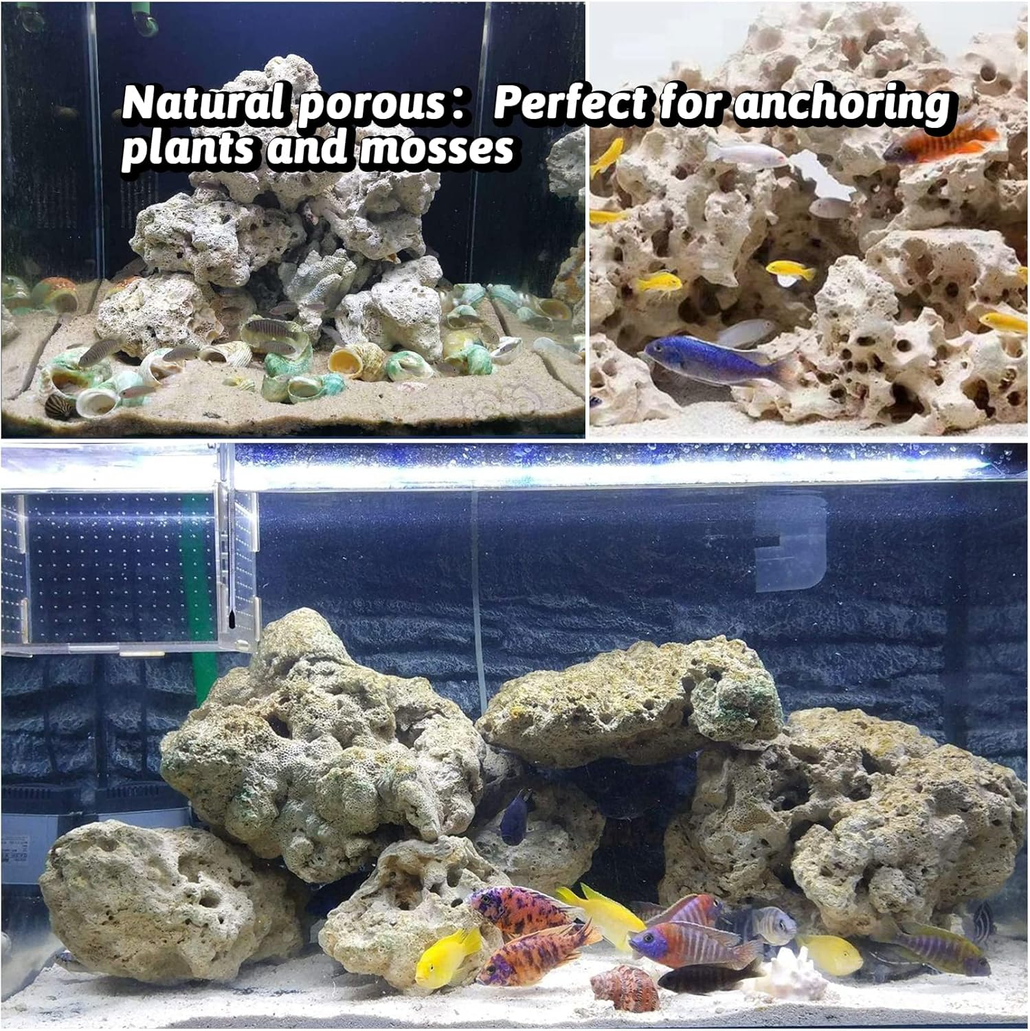 Hamiledyi Aquarium Holey Rock Stone White Coral Ornament Sea Base Rocks for Aquarium Aquascaping Natural Limestone Decor for Fish Tank Aquatic Shrimp Pet Reptile Habitat (Random Size and Quantity) image number 4