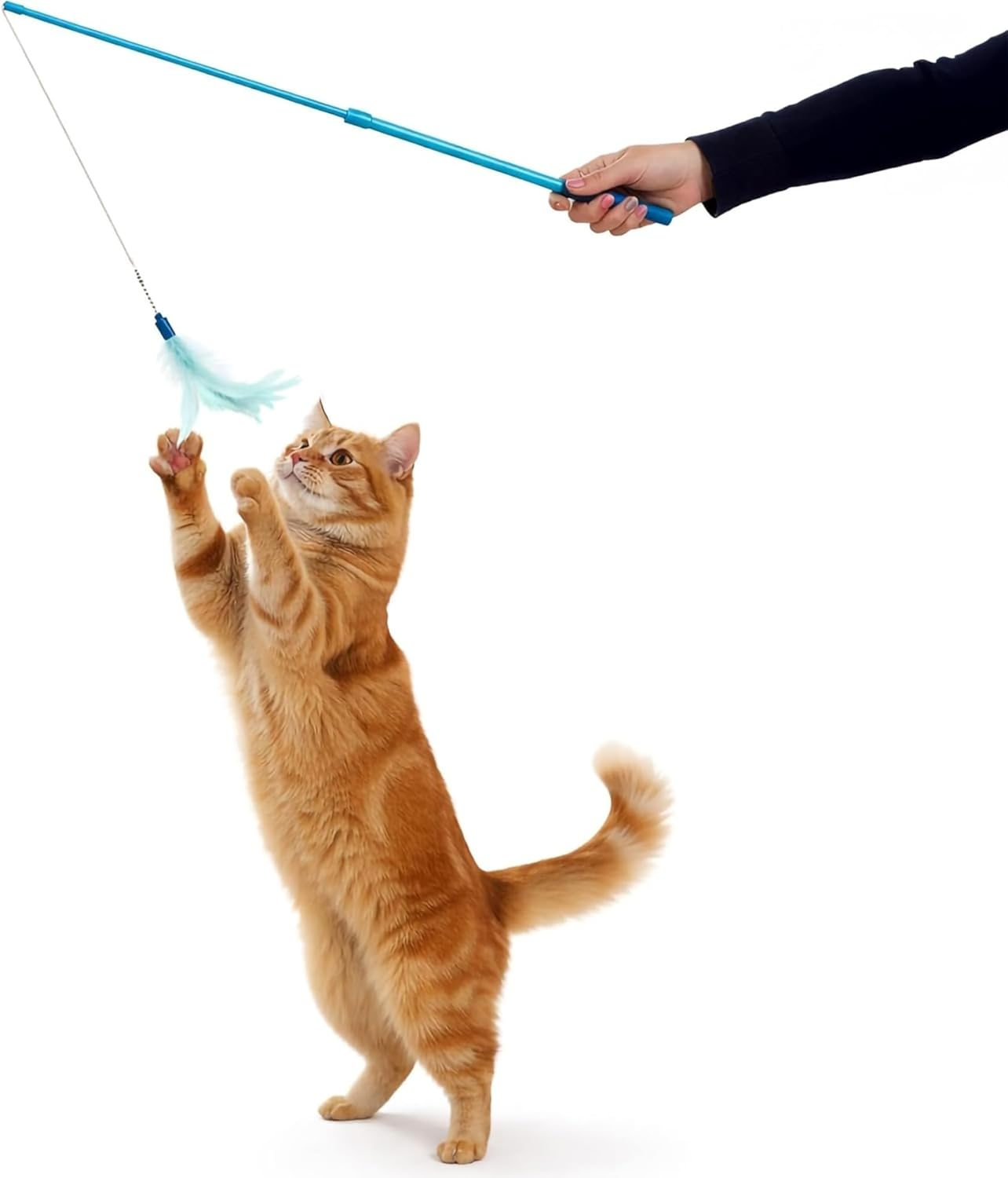 Smartykat Frisky Flyer Feather Wand Cat Toy, Extendable up to 24" - Blue, One Size image number 3