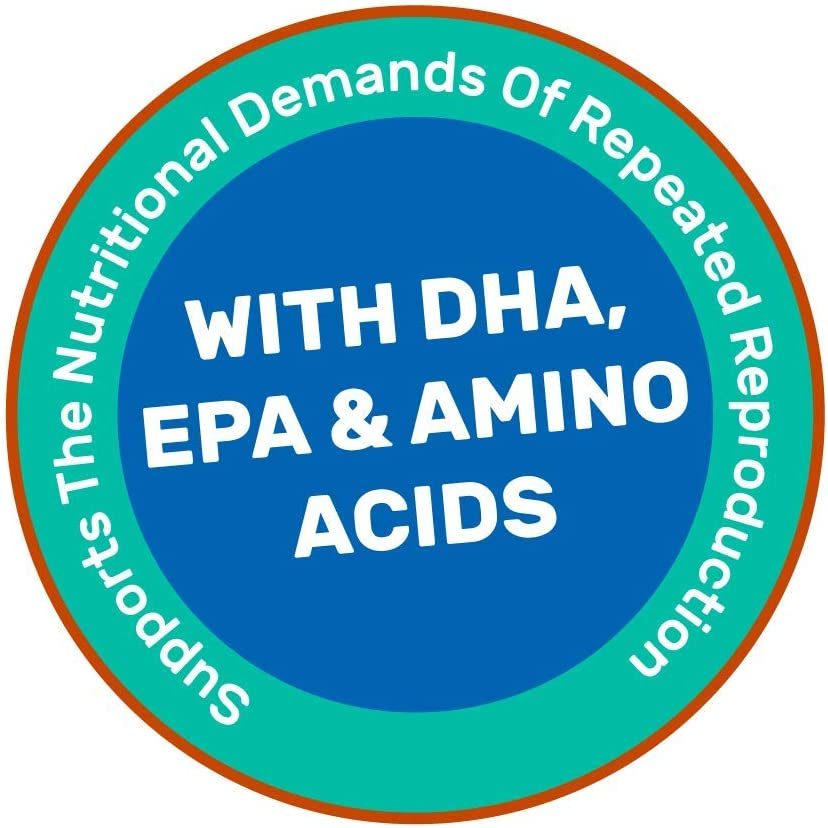 Hikari Guppy Food Micro 22G image number 2