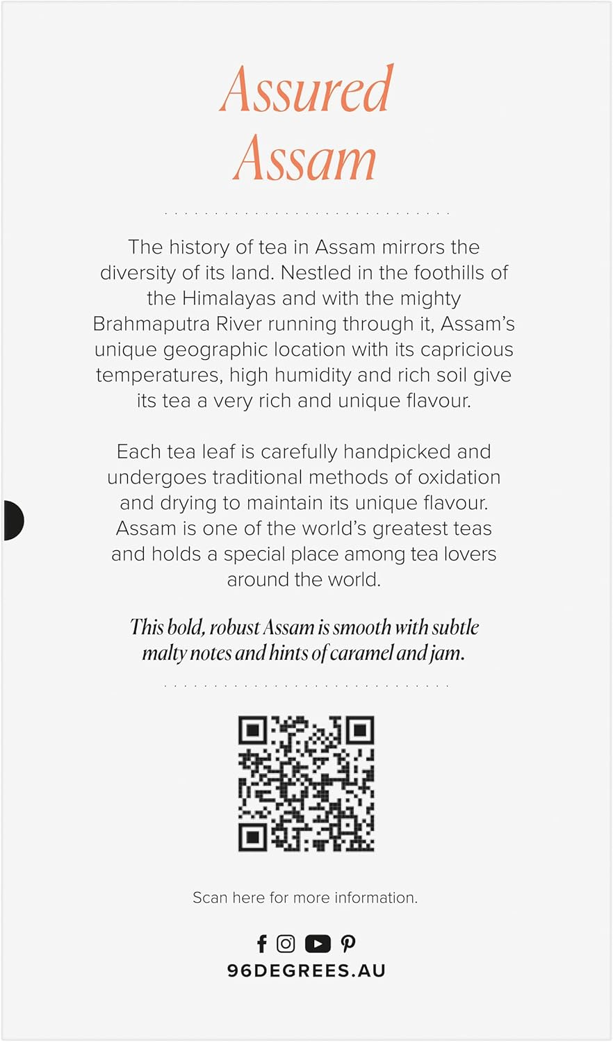96&deg; Assam Tea - 20 Pyramid Tea Bags, Individually Wrapped, Bold, Robust and Malty, Biodegradable Plant-Based Bags image number 6