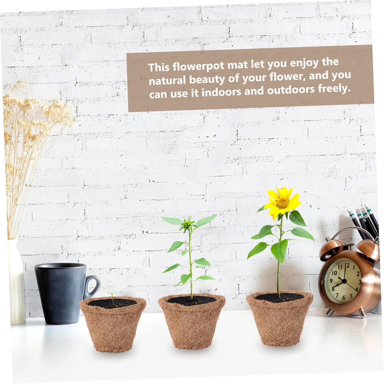 Sosoport 20Pcs Coconut Fiber Planter Decorative Flowerpot Plant Nursery Container for Indoor Outdoor Use for Gardening Supplies and Container Needs image number 6