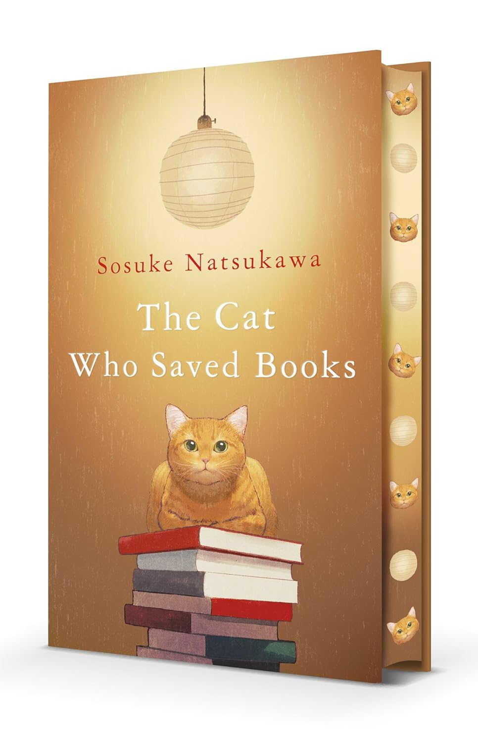 The Cat Who Saved Books: Sosuke Natsukawa