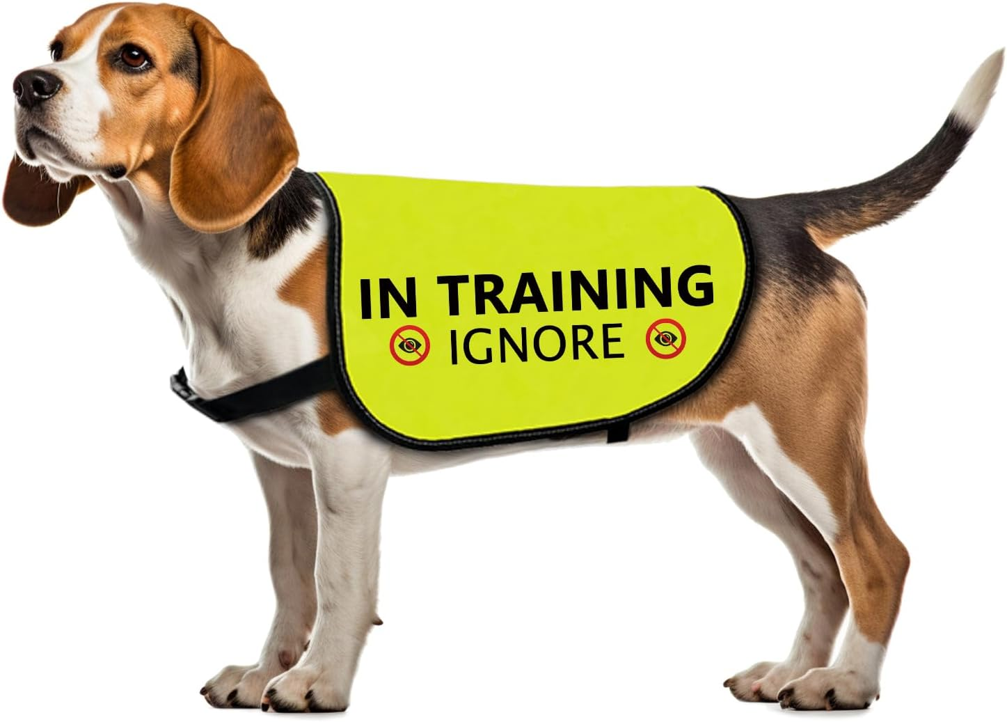 Training Dog Jacket Vest in Training Ignore Dog Vest Dog Walking Slogan Warning Vest (In Training Ignore-Large)