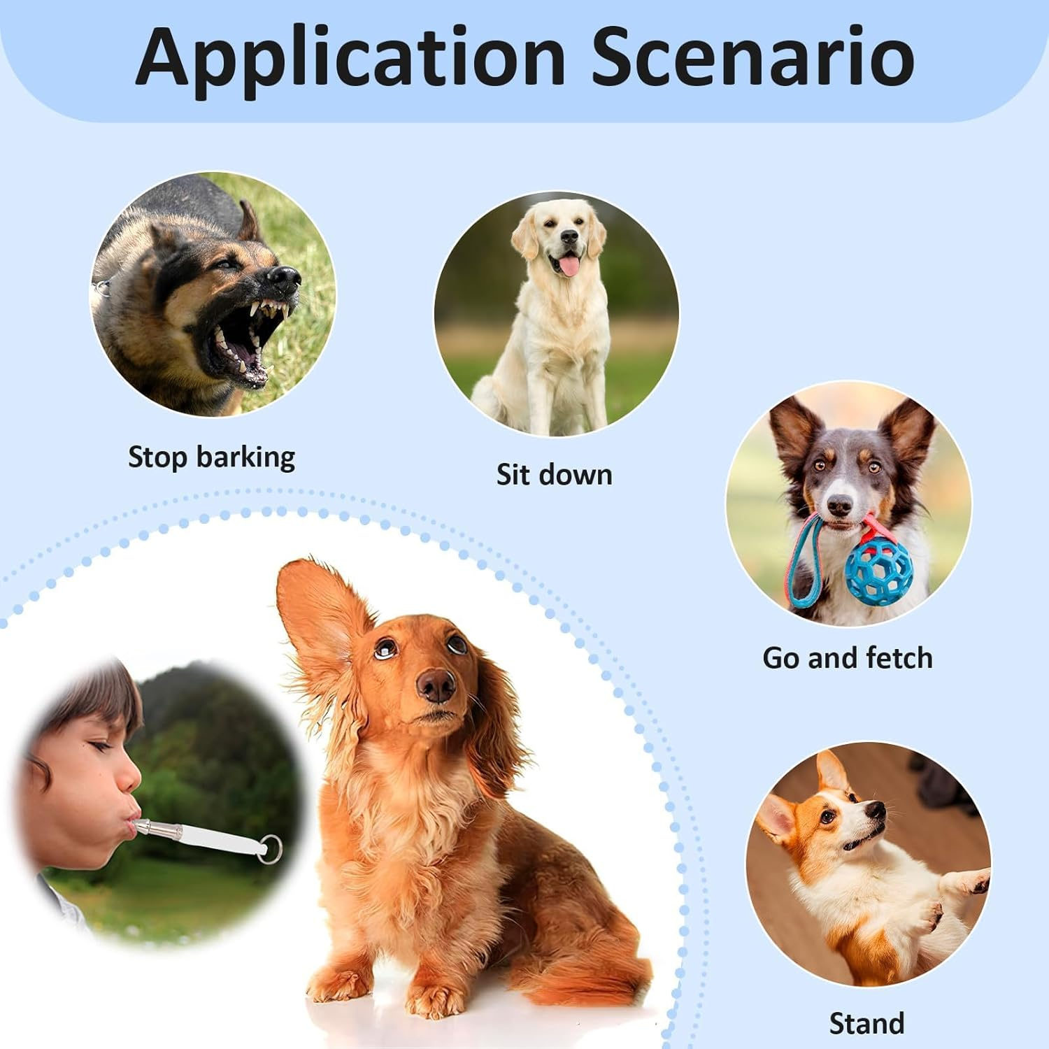 3 Pcs Dog Whistle Frisbee, Adjustable Ultrasonic Silent Dog Whistles to Stop Barking Neighbors Dog Flying Disc Puppy Flyer Toy React Faster Training Interactive Toys for Small Medium Dog (Blue) image number 6